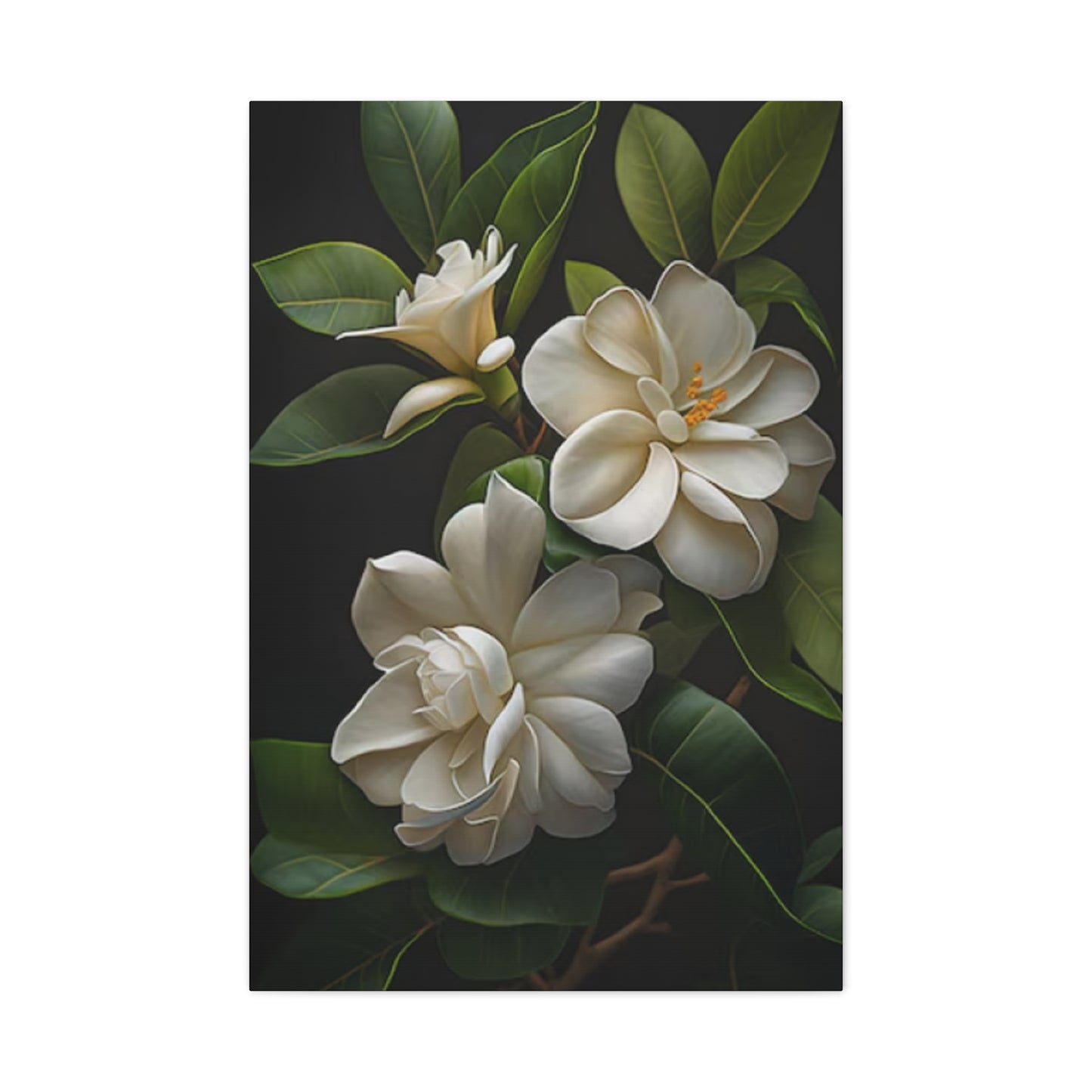 Beautiful Magnolia Flower Photo Wall Art & Canvas Prints