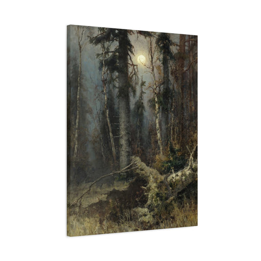 Full Moon Forest Wall Art & Canvas Prints