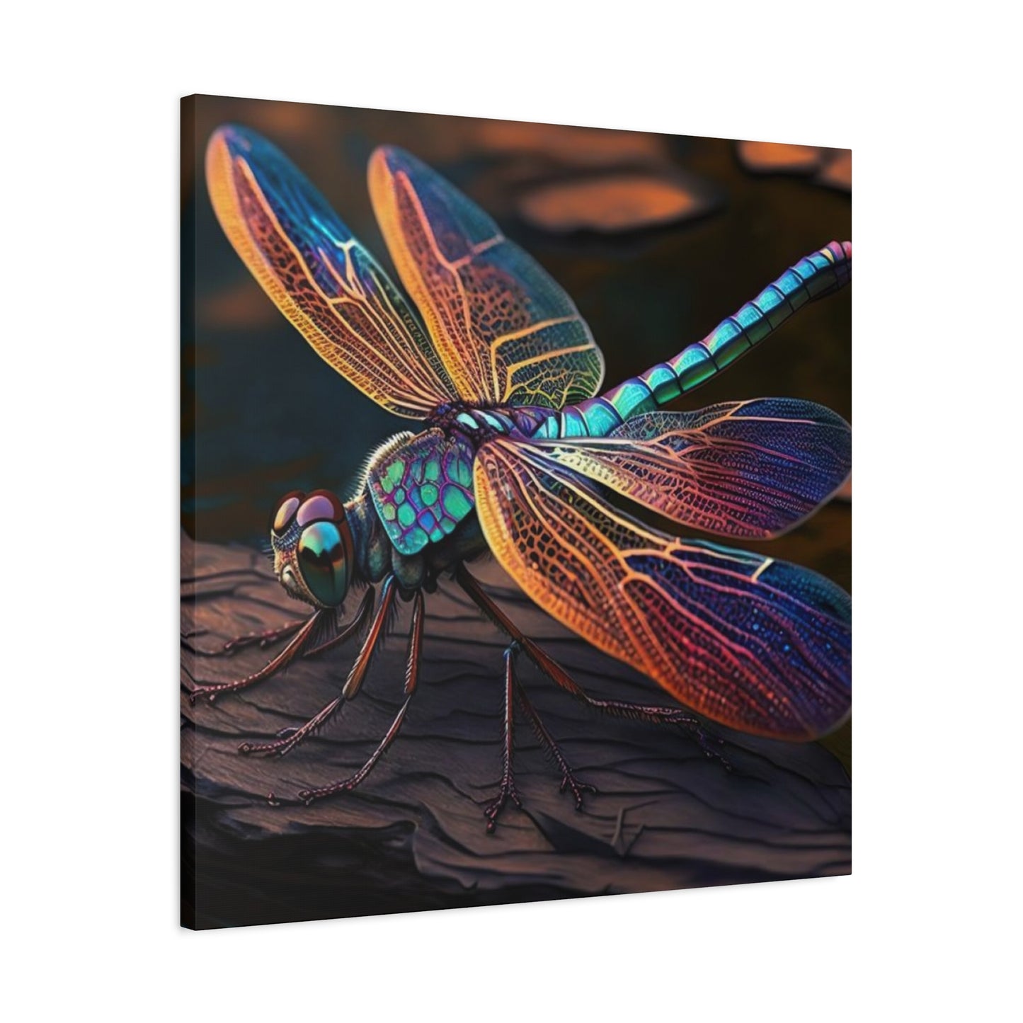 Colorful Dragonfly Candid Wall Art & Canvas Prints