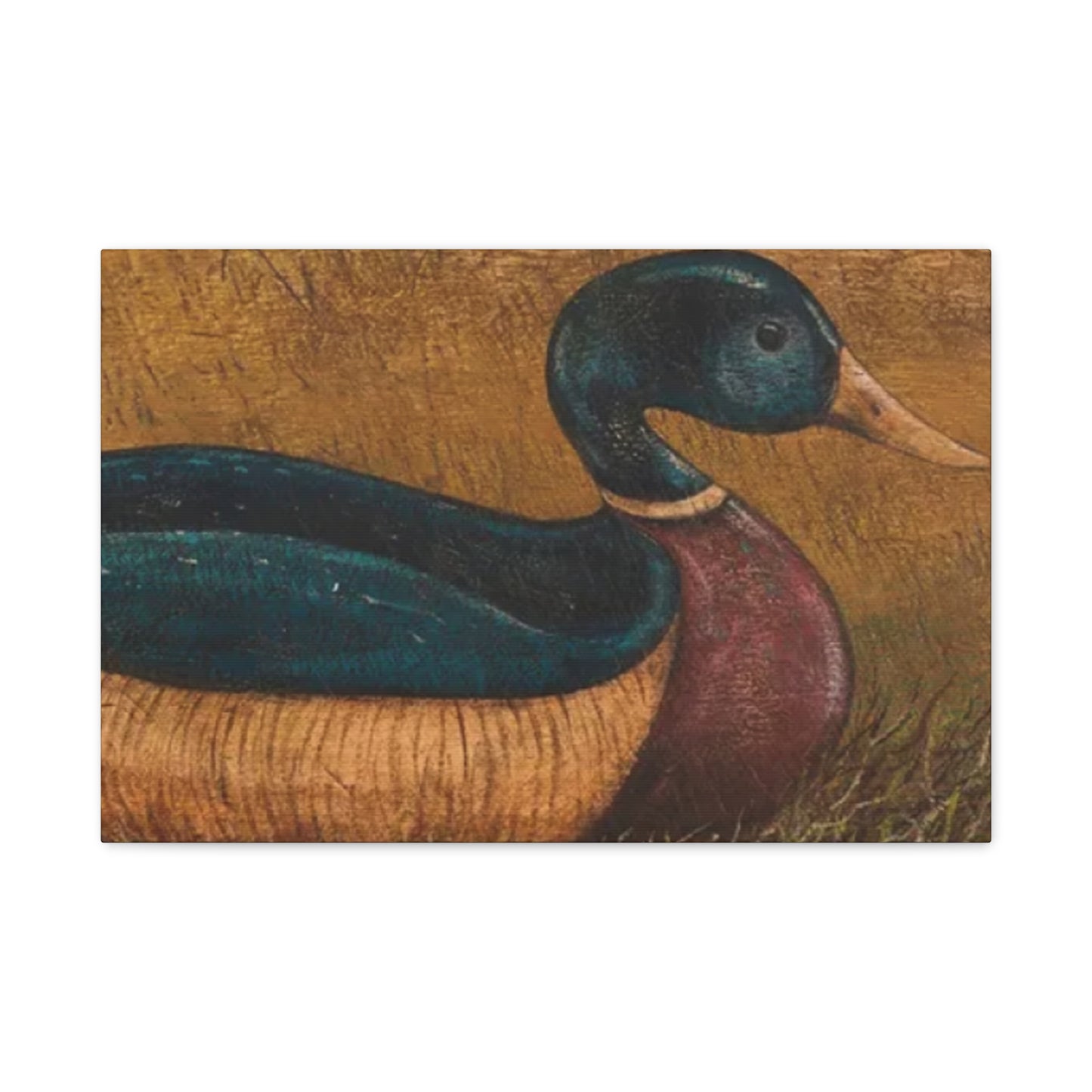 Duck Kimble Warren Wall Art & Canvas Prints