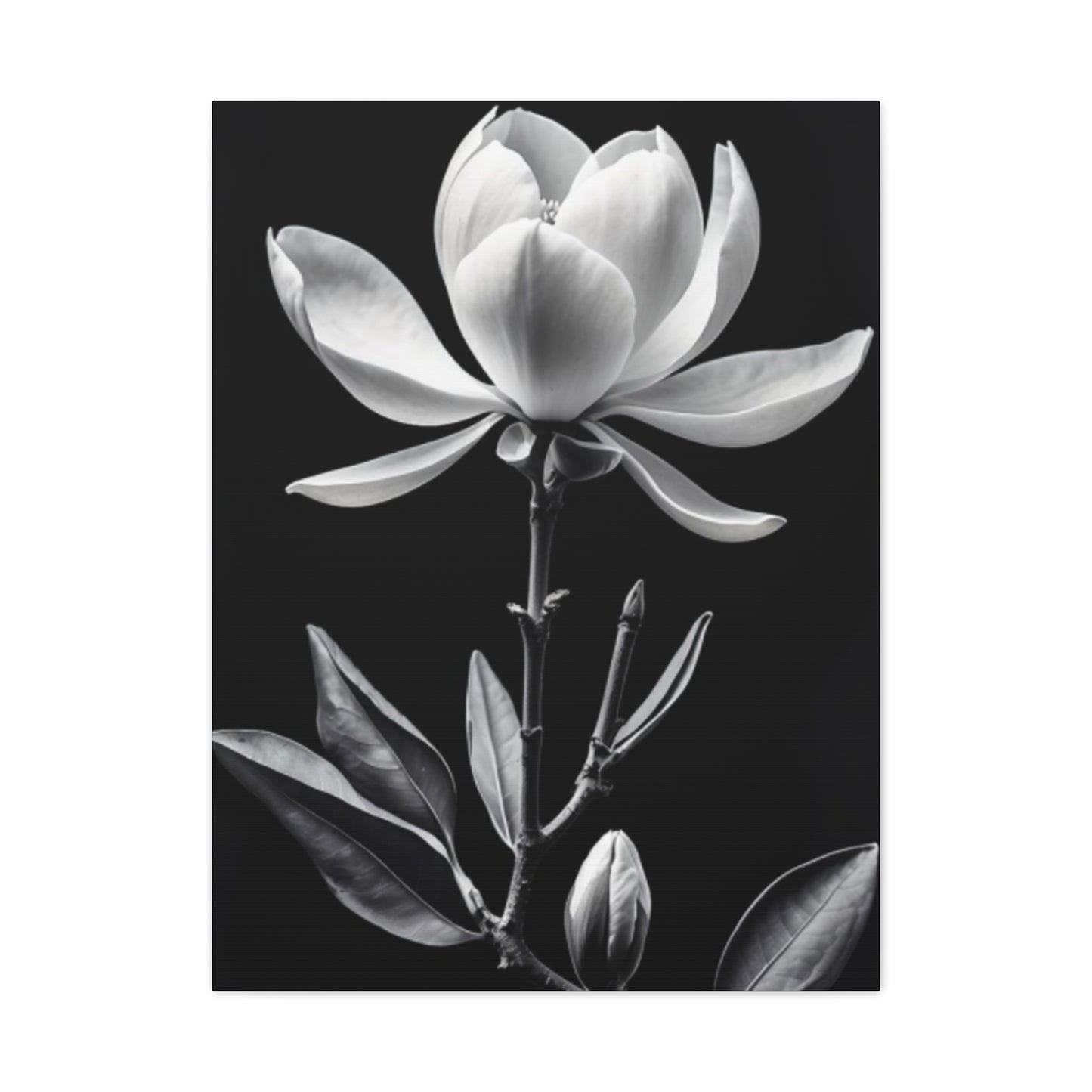 Monochrome Magnolia Flower Plant Wall Art & Canvas Prints