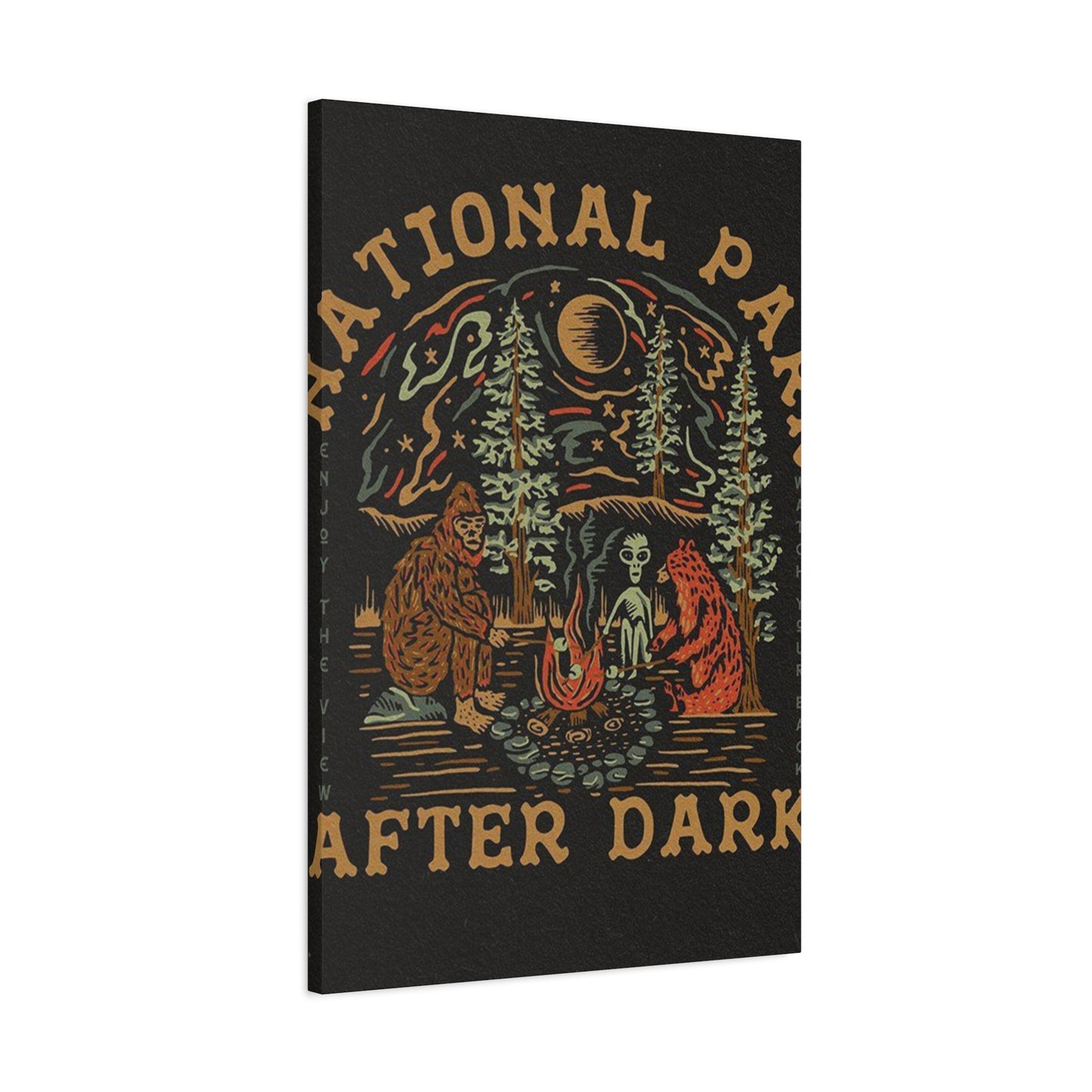 National Park After Dark Wall Art & Canvas Prints