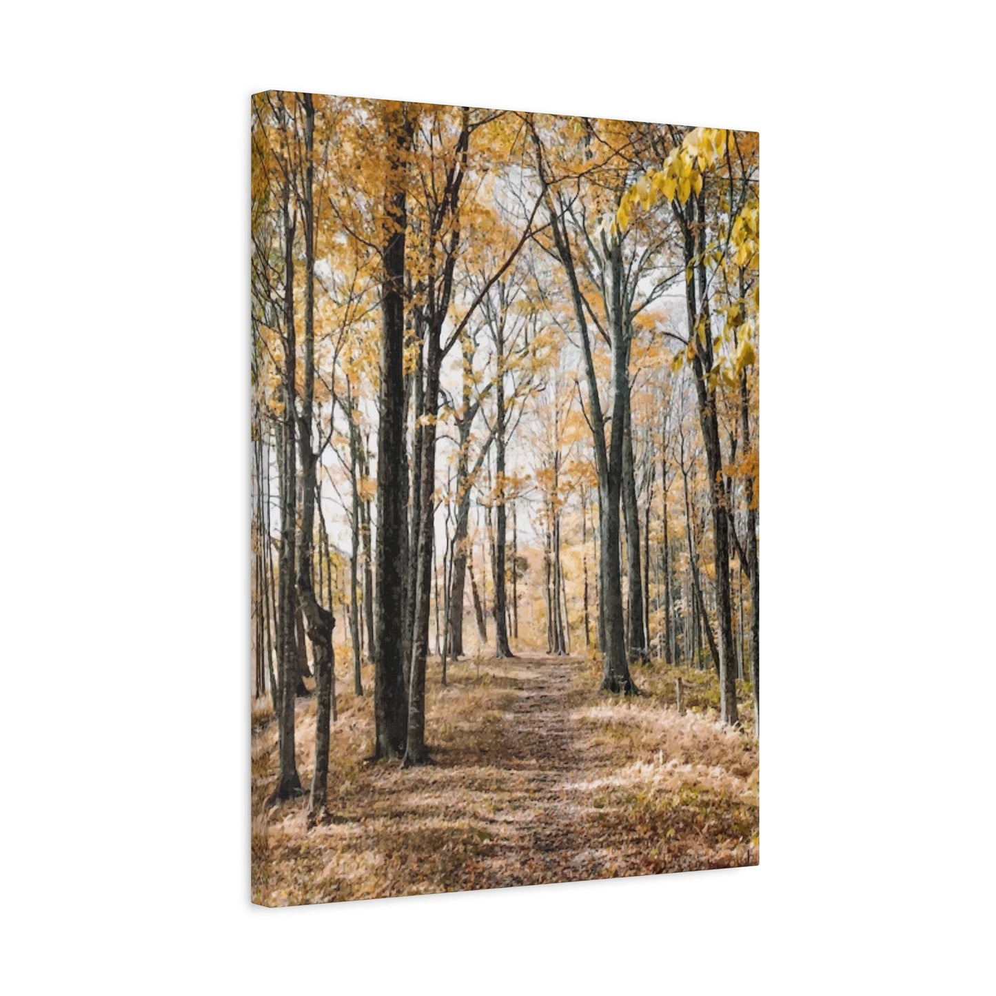 Fall Wall Art & Canvas Prints