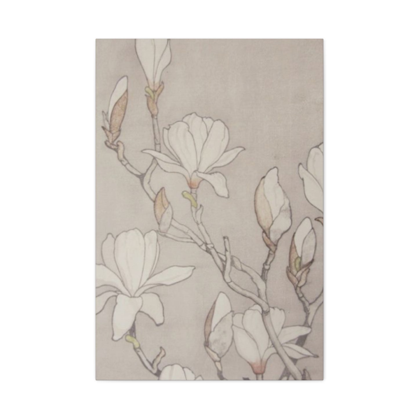 Beautiful Vintage Magnolia Flower Painting Wall Art & Canvas Prints