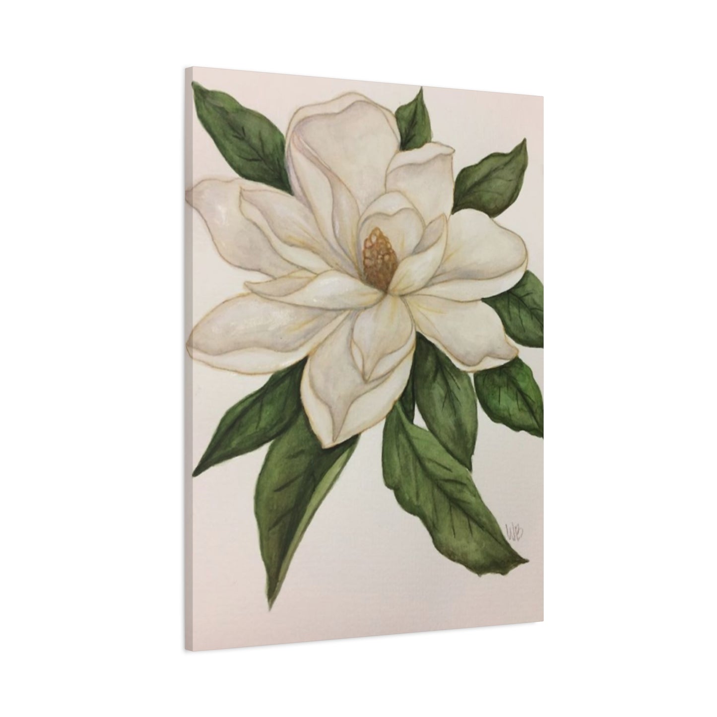 Beautiful White Magnolia Flower Drawing Wall Art & Canvas Prints