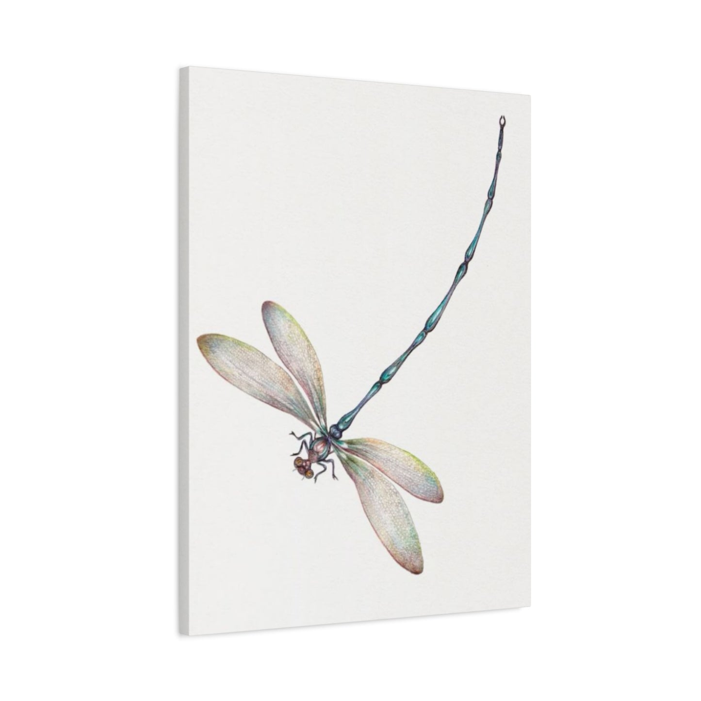 Long Blue Tail Dragonfly Wall Art & Canvas Prints