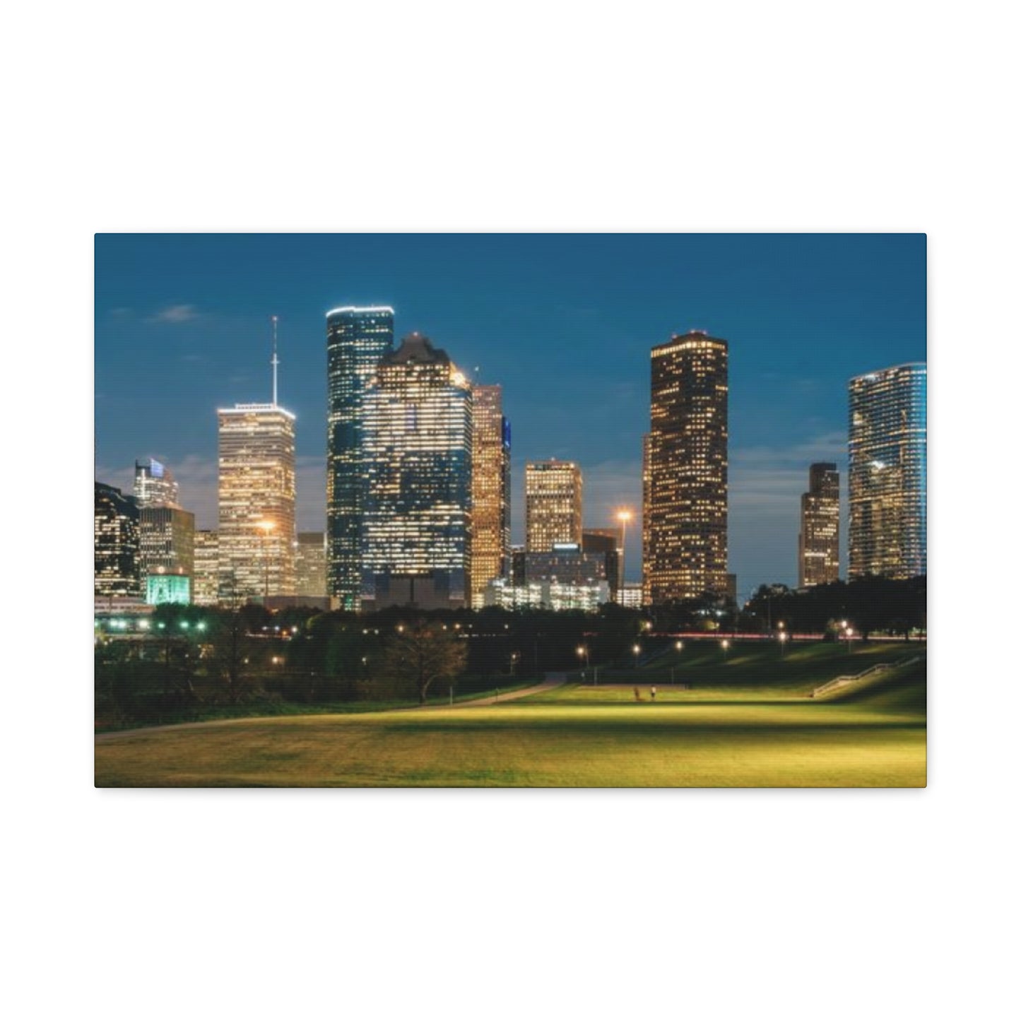 Night view of Houston Skyline Wall Art & Canvas Prints