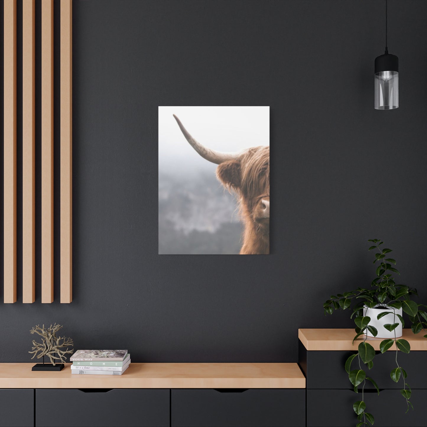 Longhorn Photos Wall Art & Canvas Prints