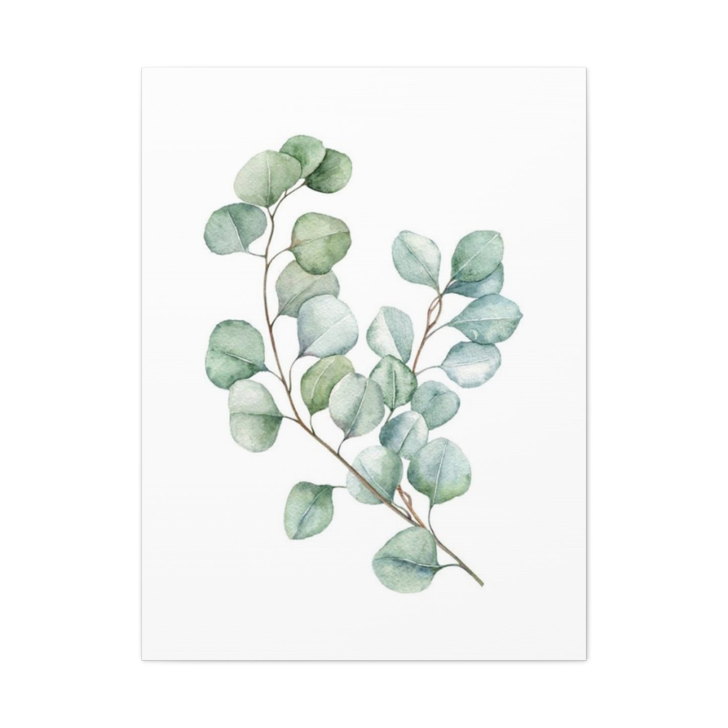 Eucalyptus Stem Wall Art & Canvas Prints