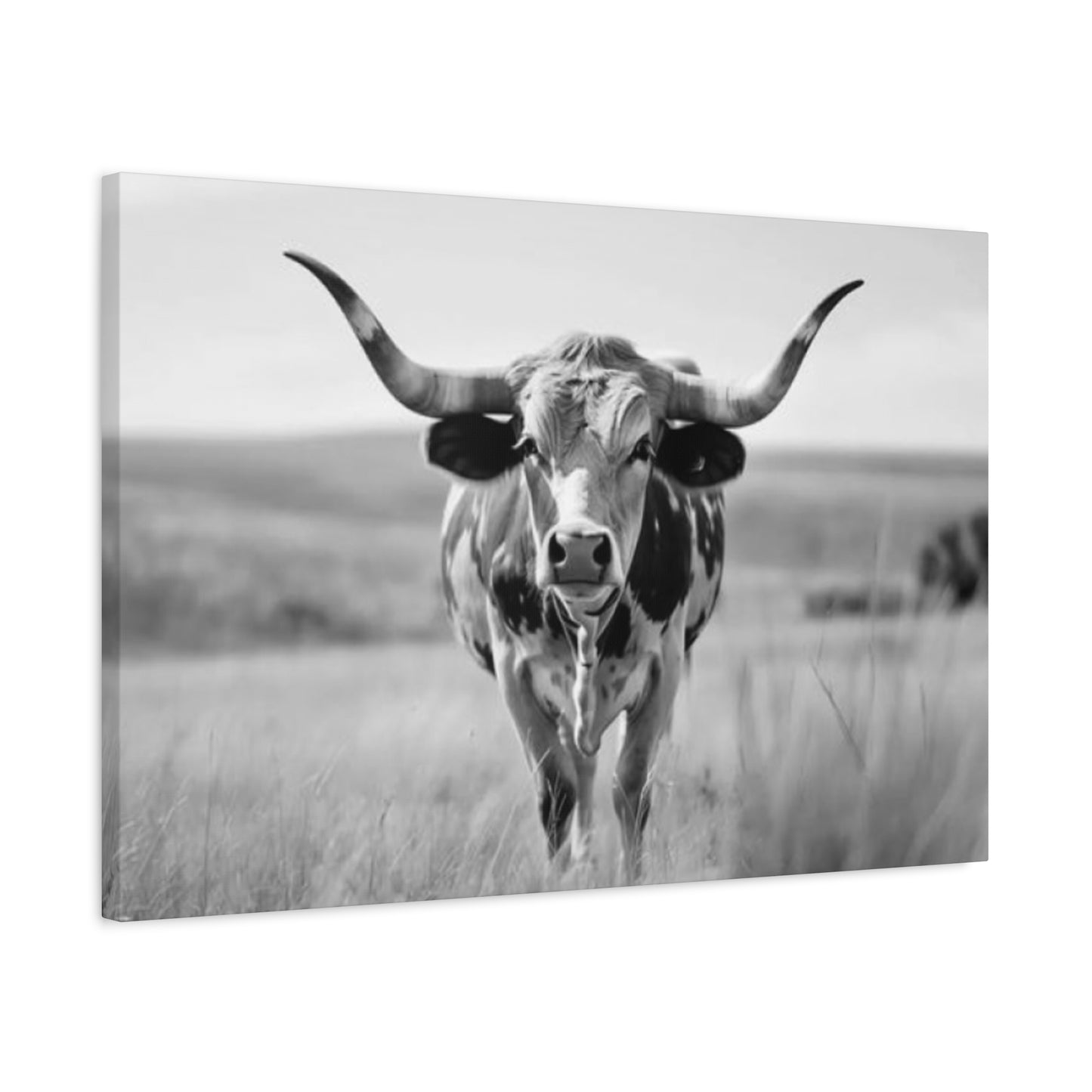 Monochrome Curvy Long Horn Wall Art & Canvas Prints