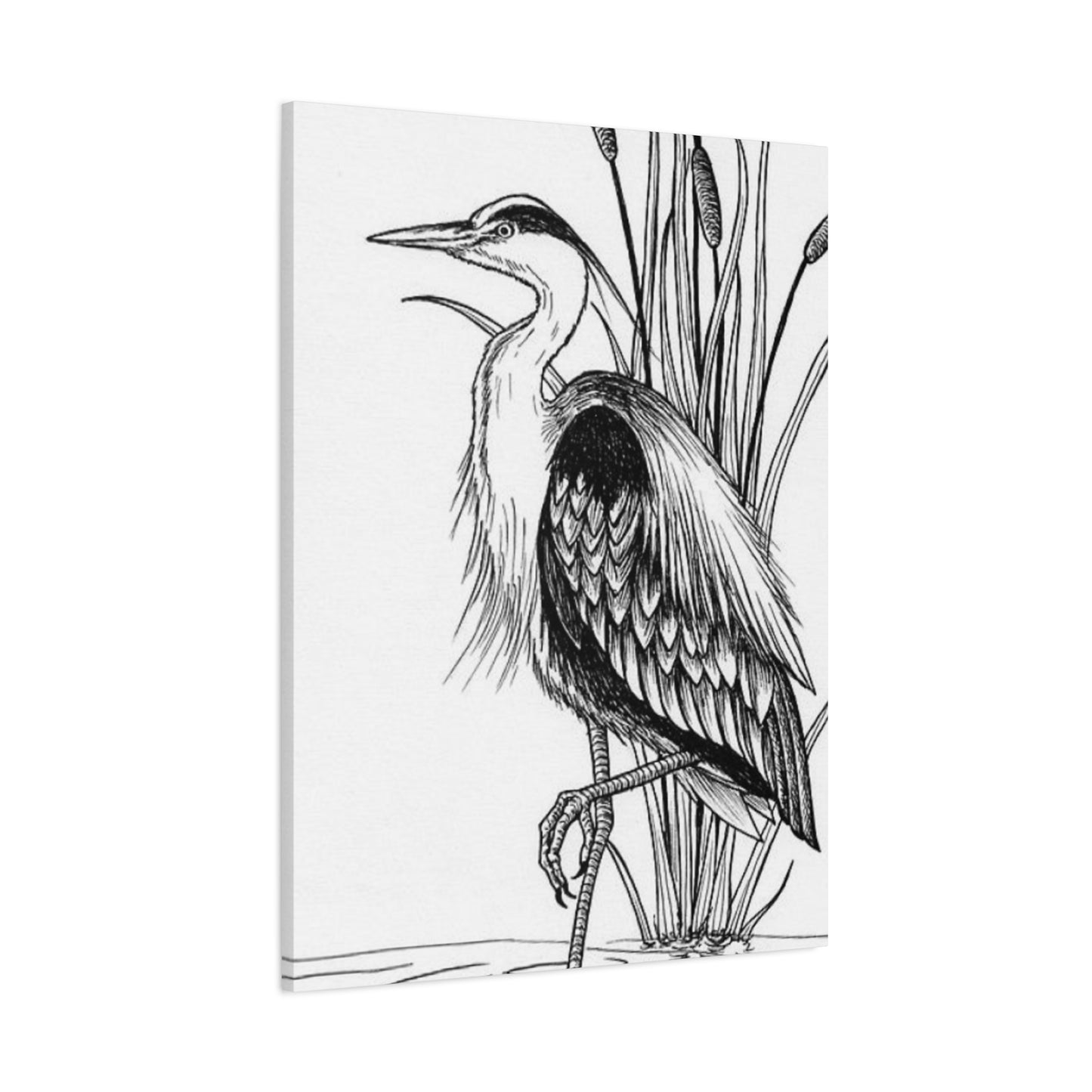 White Heron Drawing Wall Art & Canvas Prints