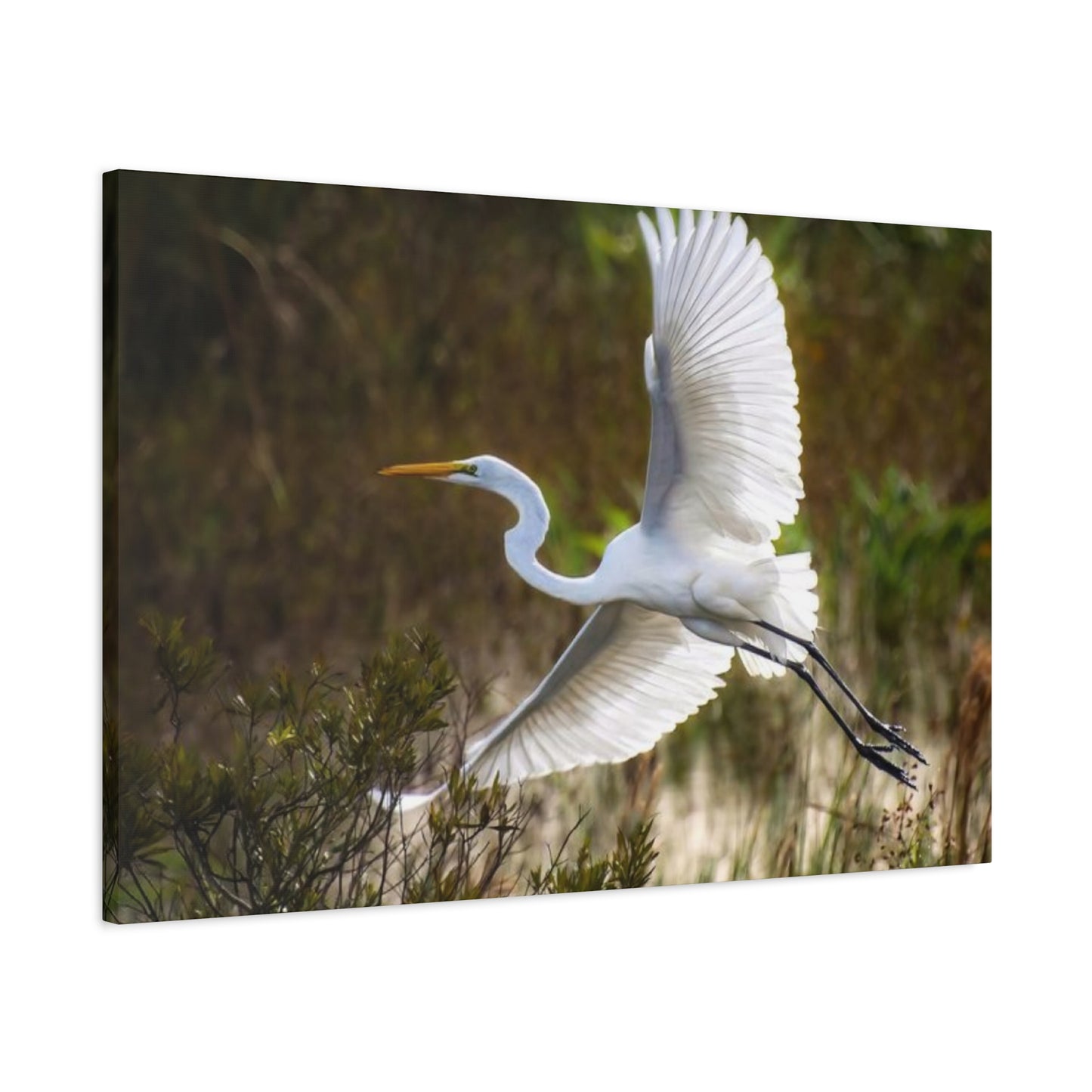 Flying Heron Wall Art & Canvas Prints