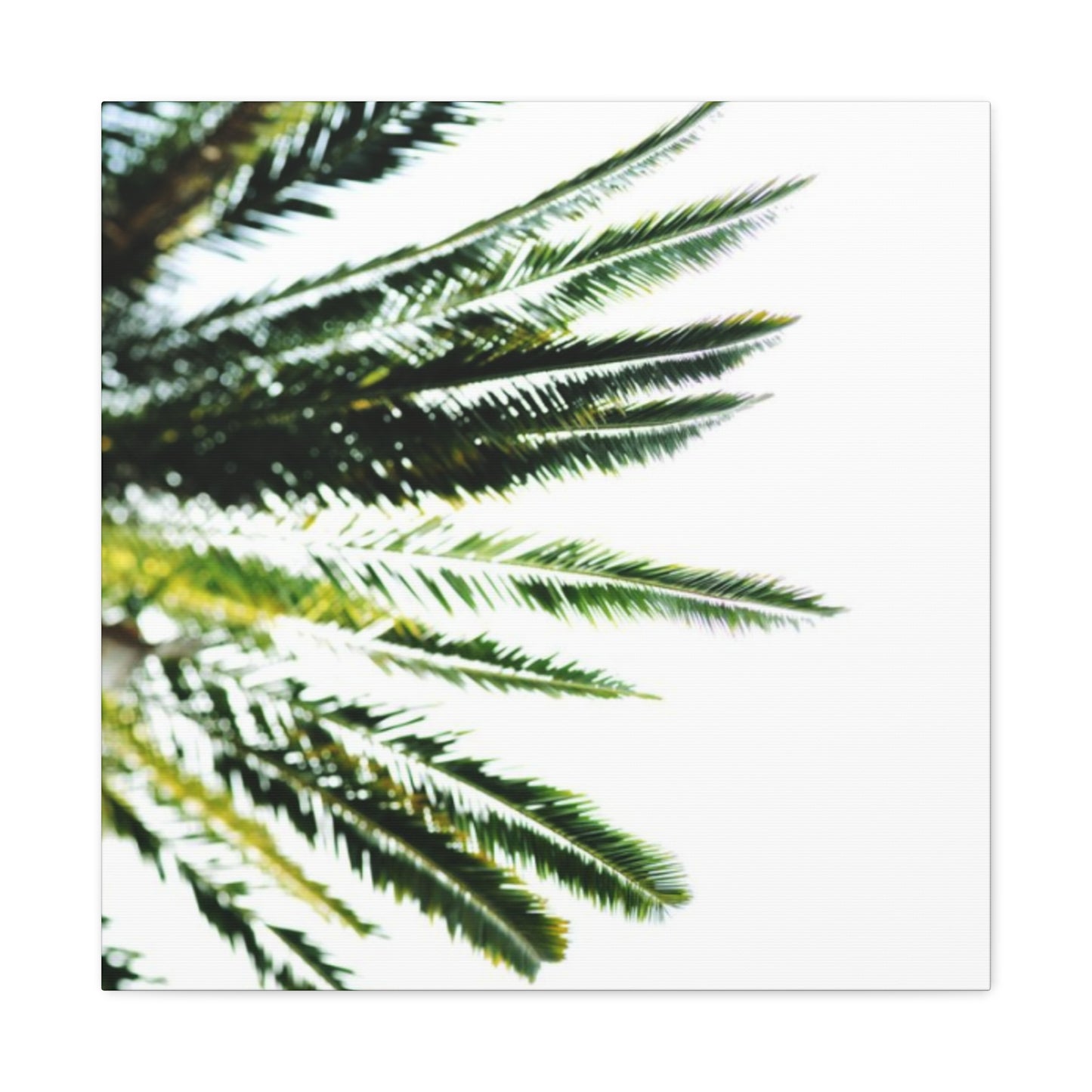 Palm Tree Leaves Wall Art & Canvas Prints