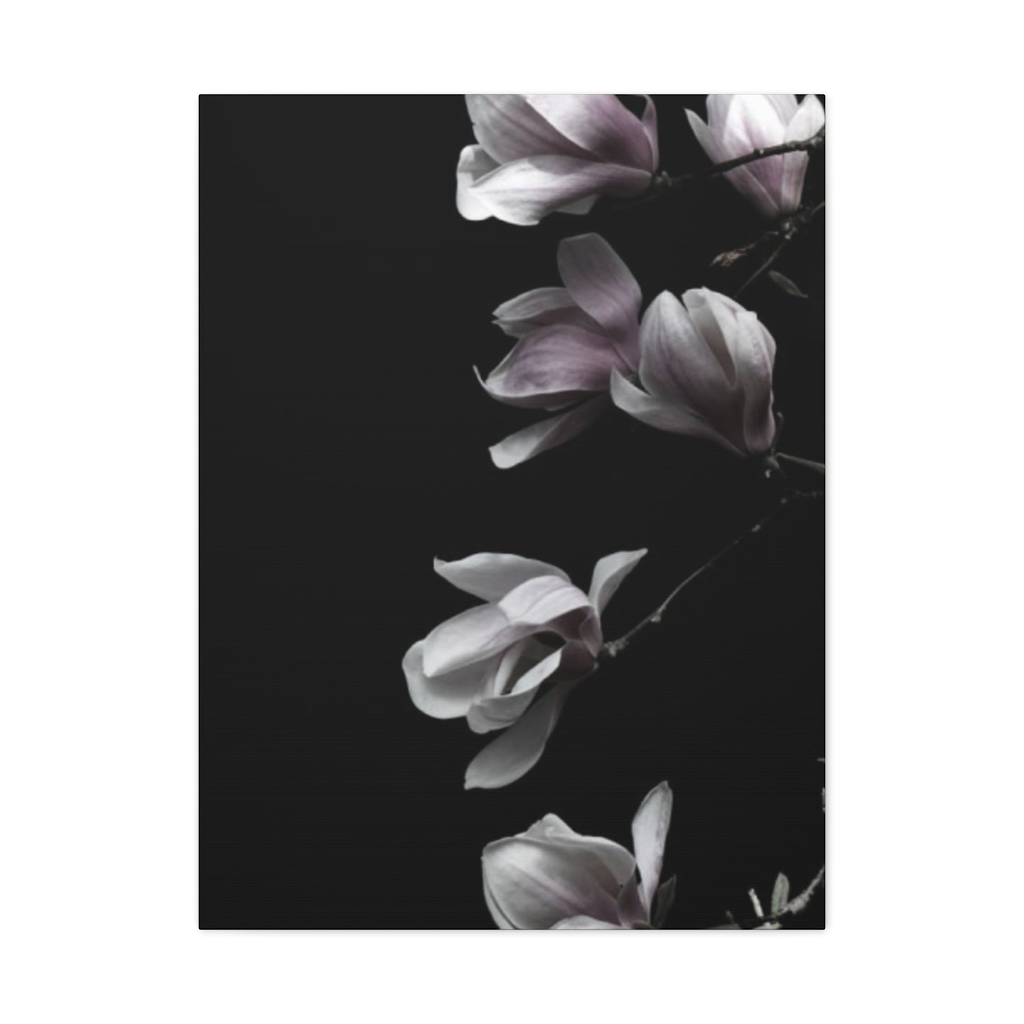 Pink Magnolia Flower with Painting Wall Art & Canvas Prints