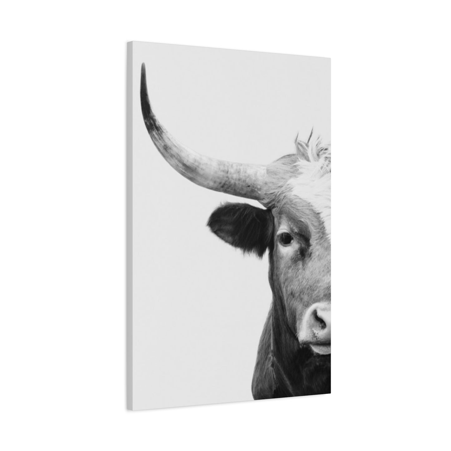 Bull Longhorn Photography Wall Art & Canvas Prints