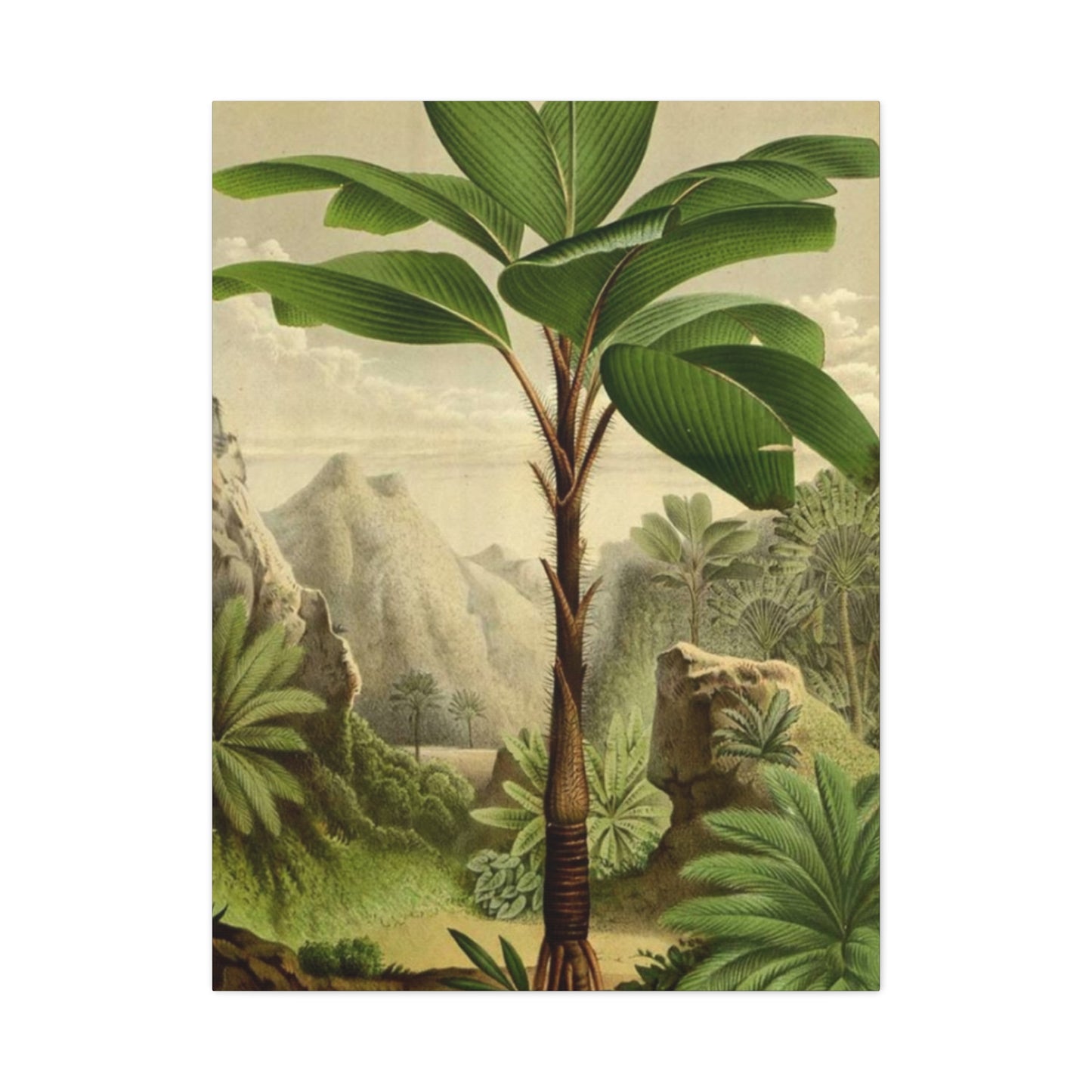 Palm Tree In The Forest Wall Art & Canvas Prints