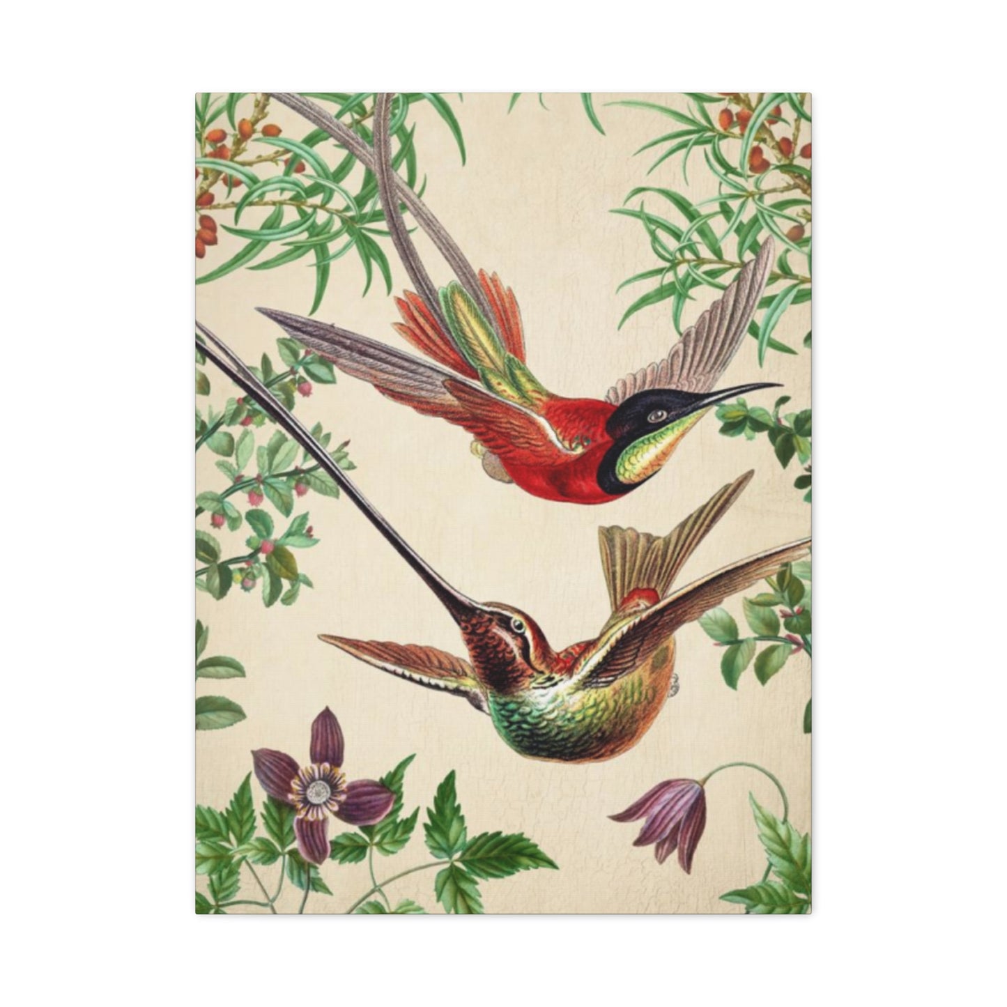 Humming Bird Couple Candid Painting Wall Art & Canvas Prints