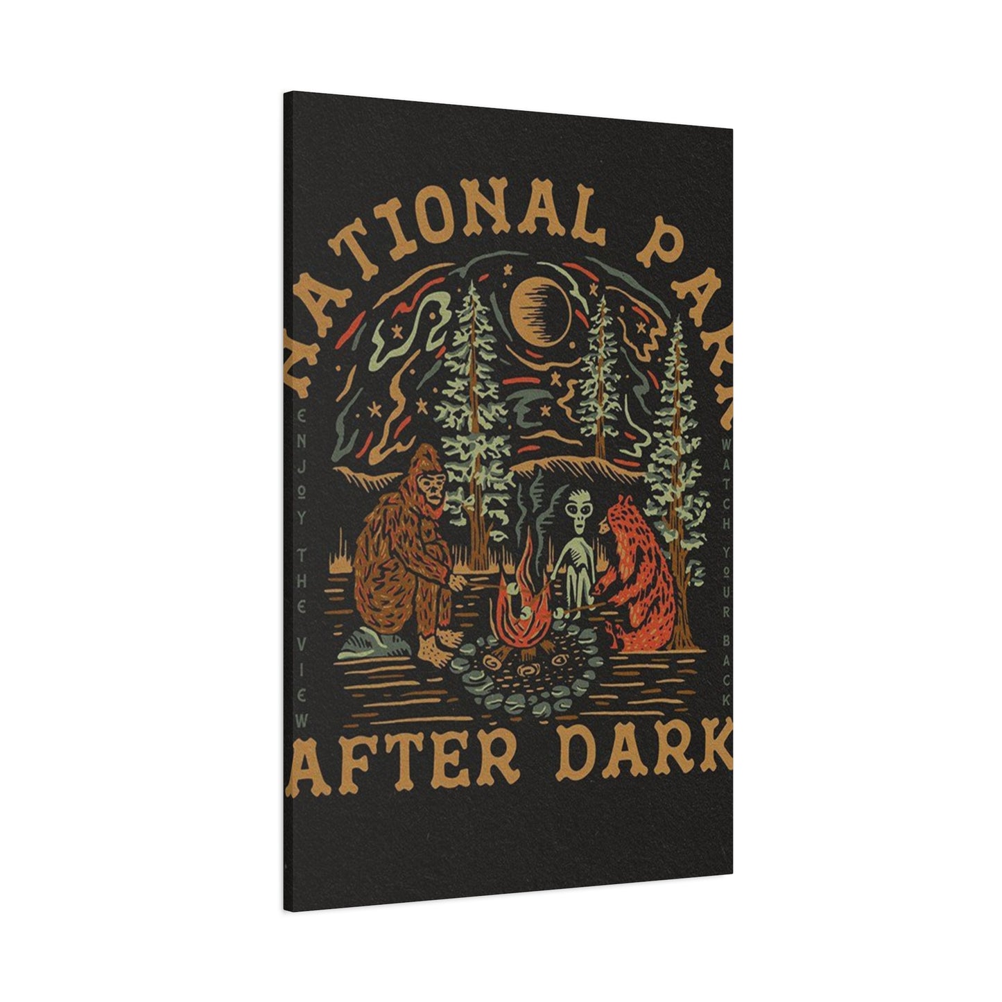 National Park After Dark Wall Art & Canvas Prints