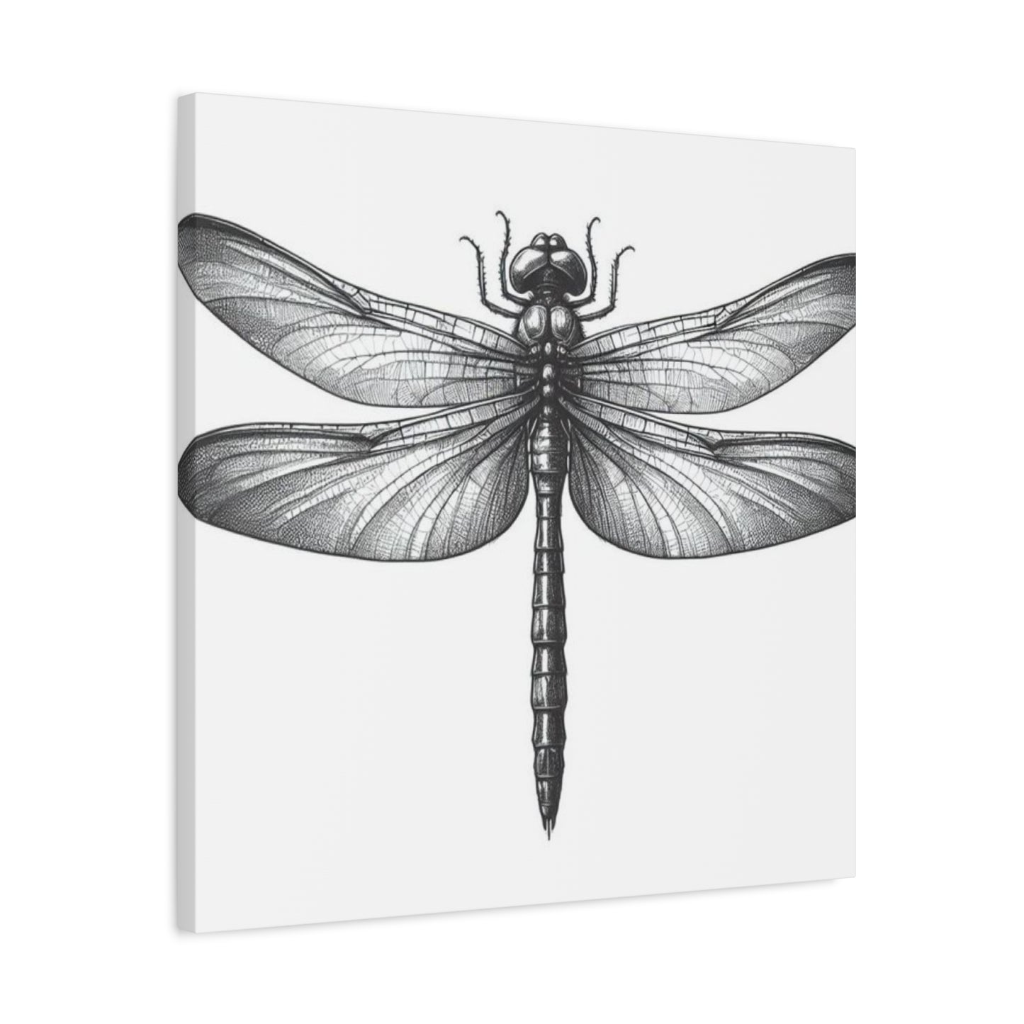 Top of Black Dragonfly Wall Art & Canvas Prints