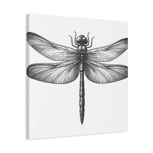 Top of Black Dragonfly Wall Art & Canvas Prints