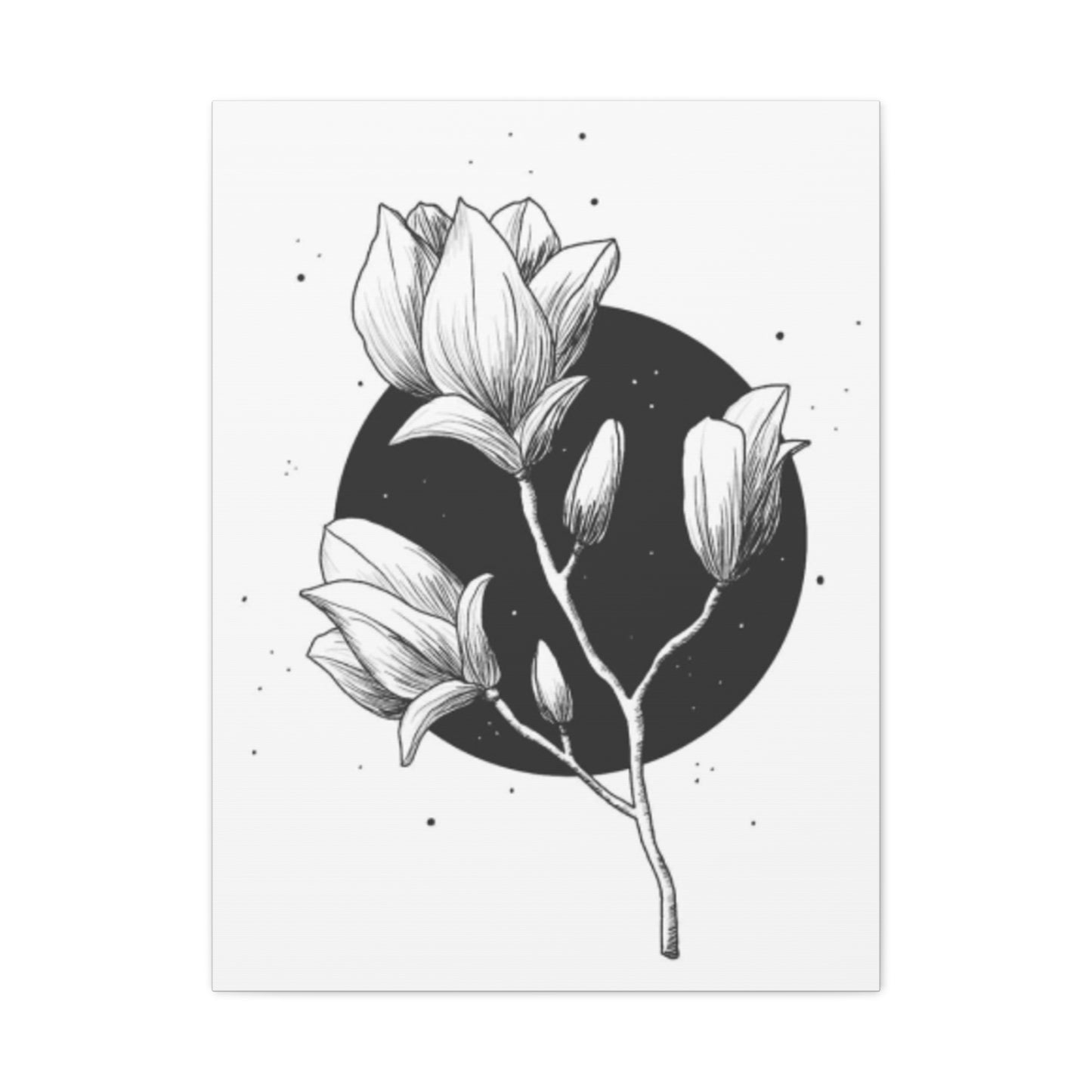 Beautiful Monochrome Magnolia Flower Plant Wall Art & Canvas Prints