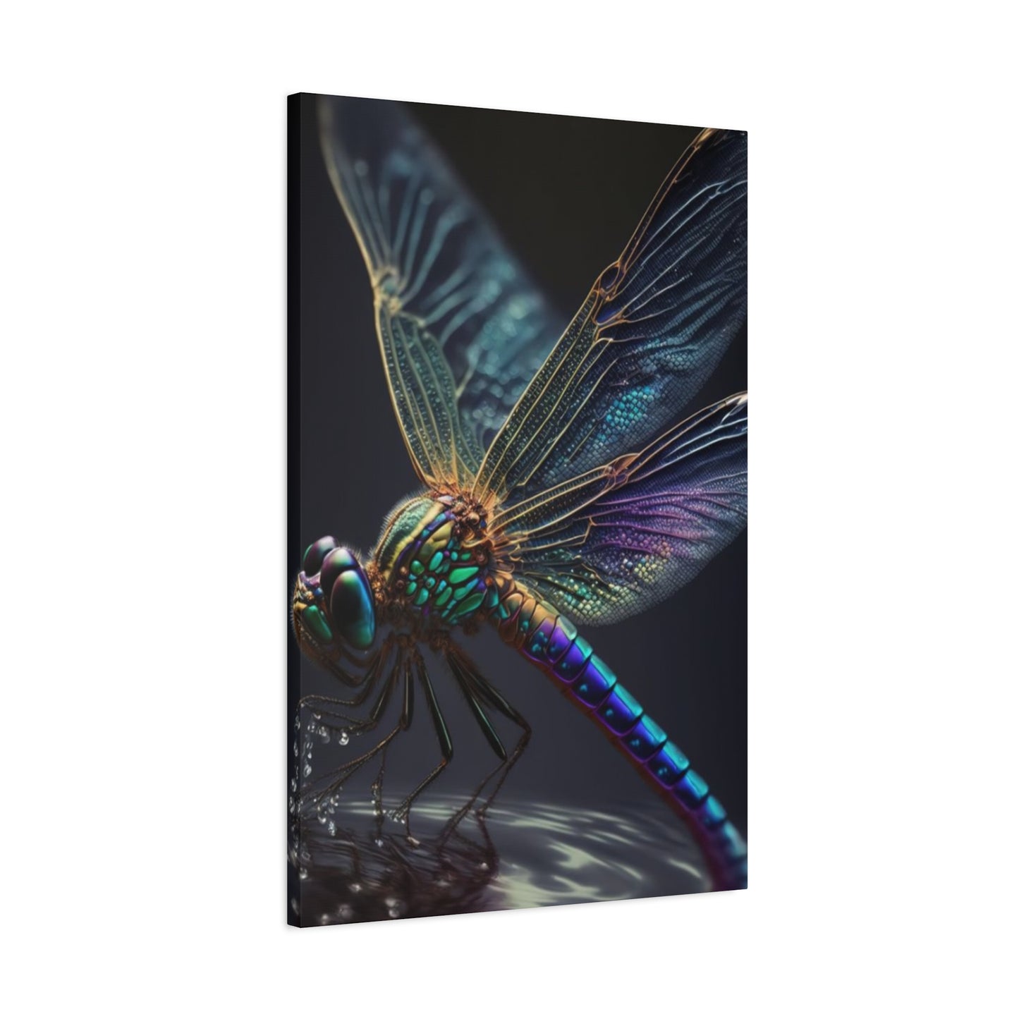 Dragonfly Closeup Wall Art & Canvas Prints