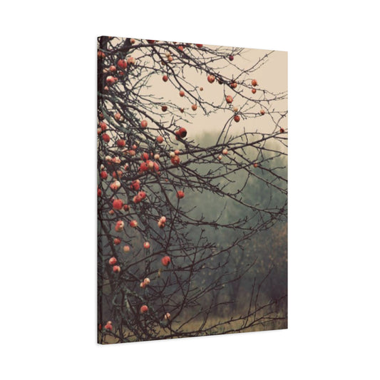 Fruit Tree Fine Wall Art & Canvas Prints