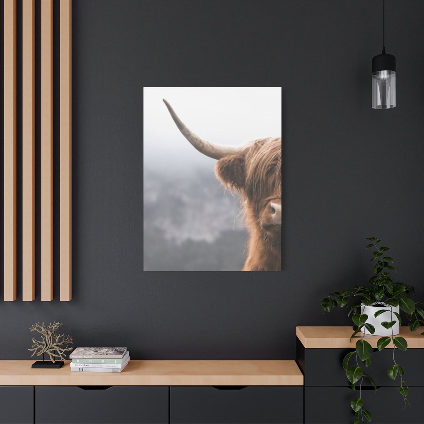 Longhorn Photos Wall Art & Canvas Prints