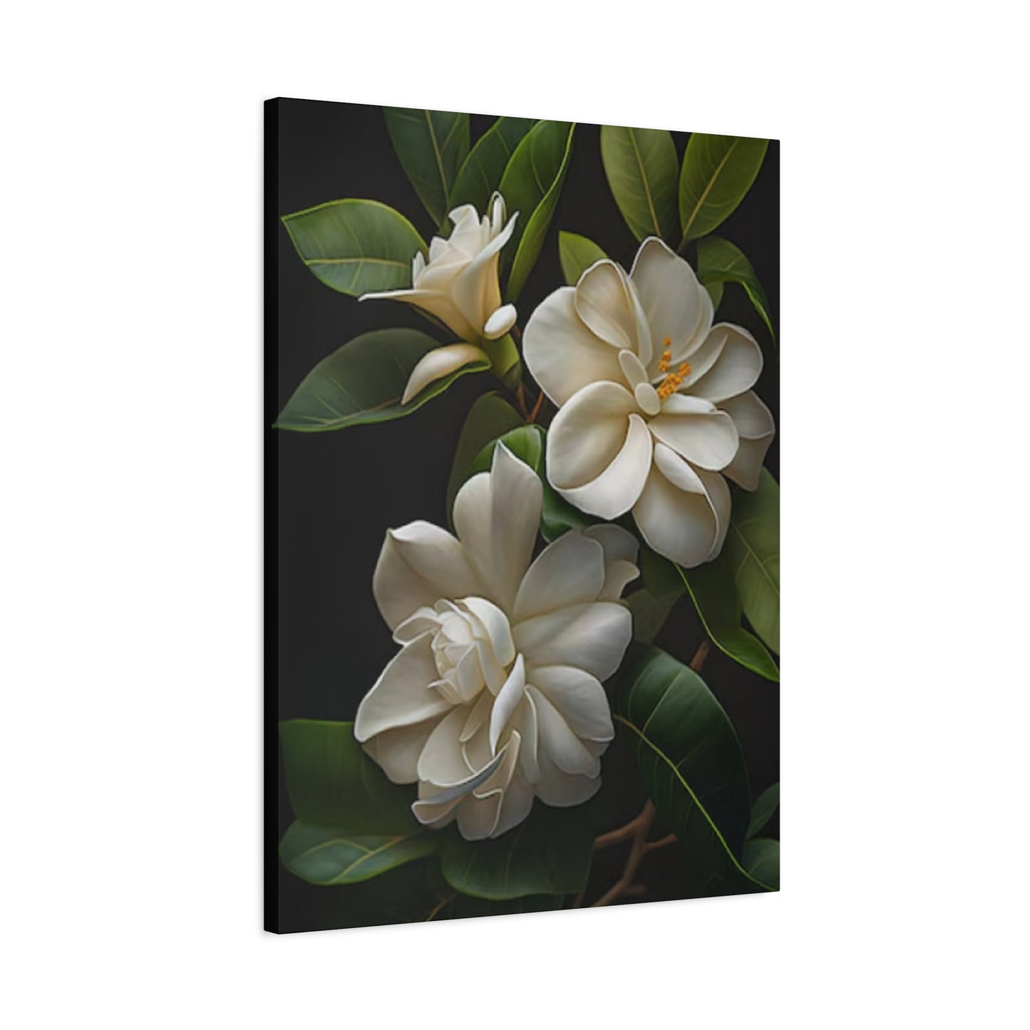 Beautiful Magnolia Flower Photo Wall Art & Canvas Prints