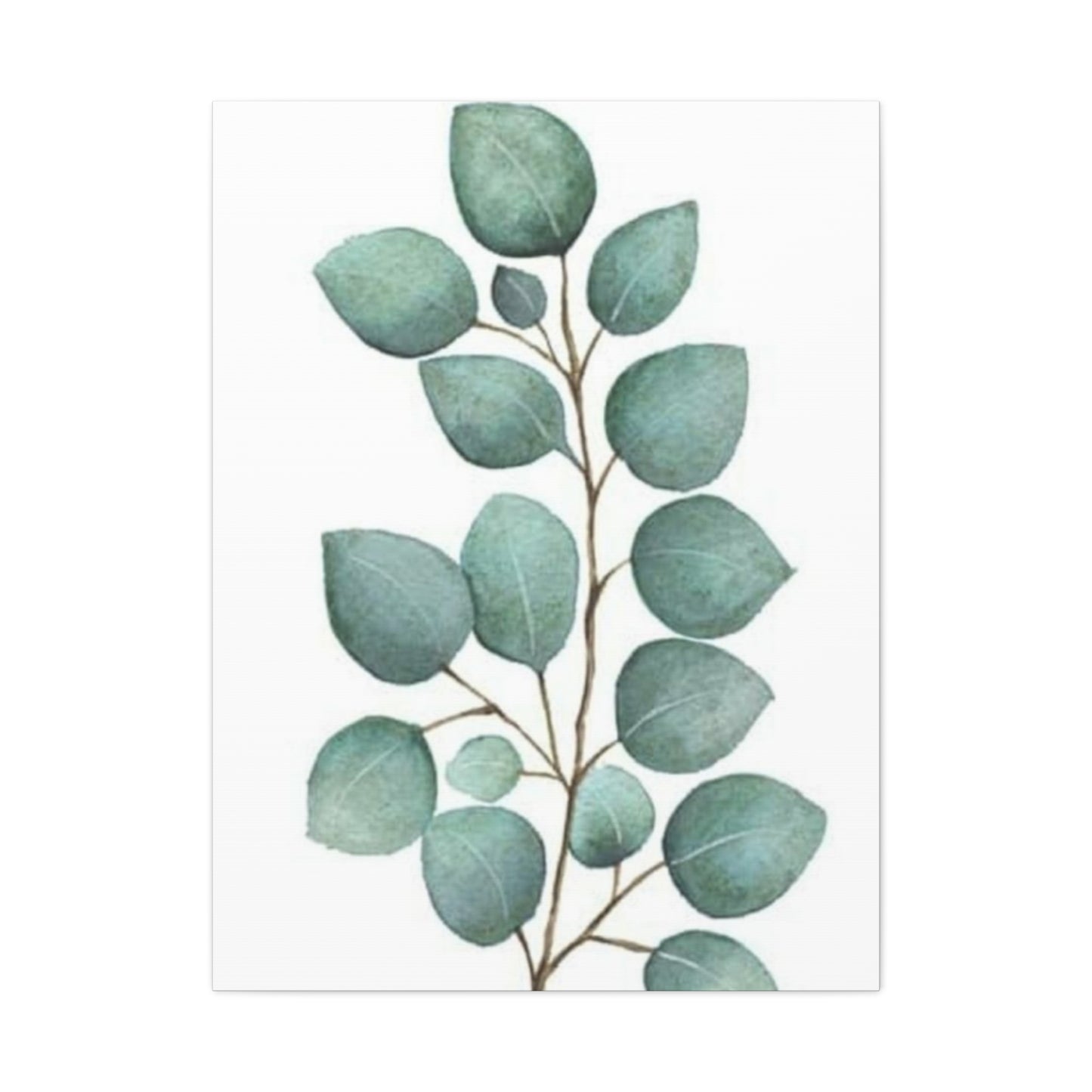 Eucalyptus Stem Wall Art & Canvas Prints