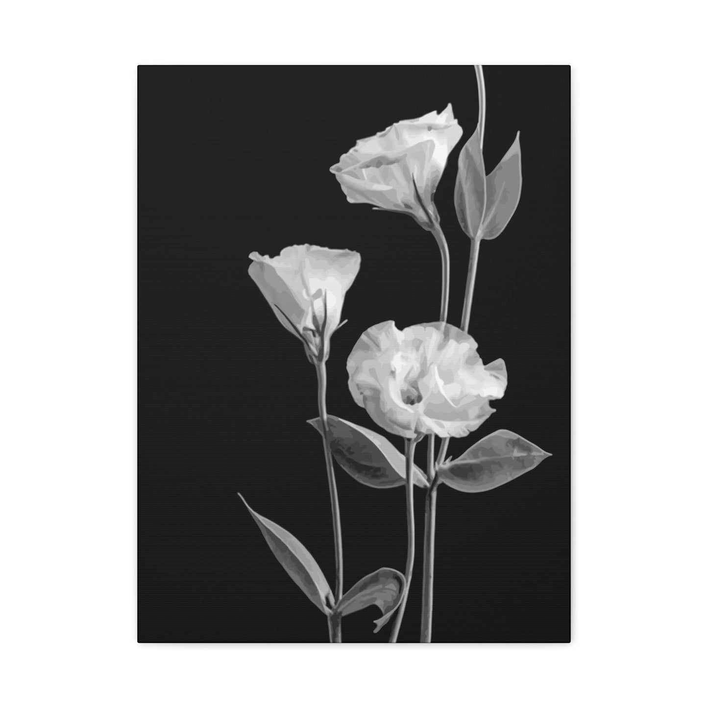 Black and White Flower Wall Art & Canvas Prints