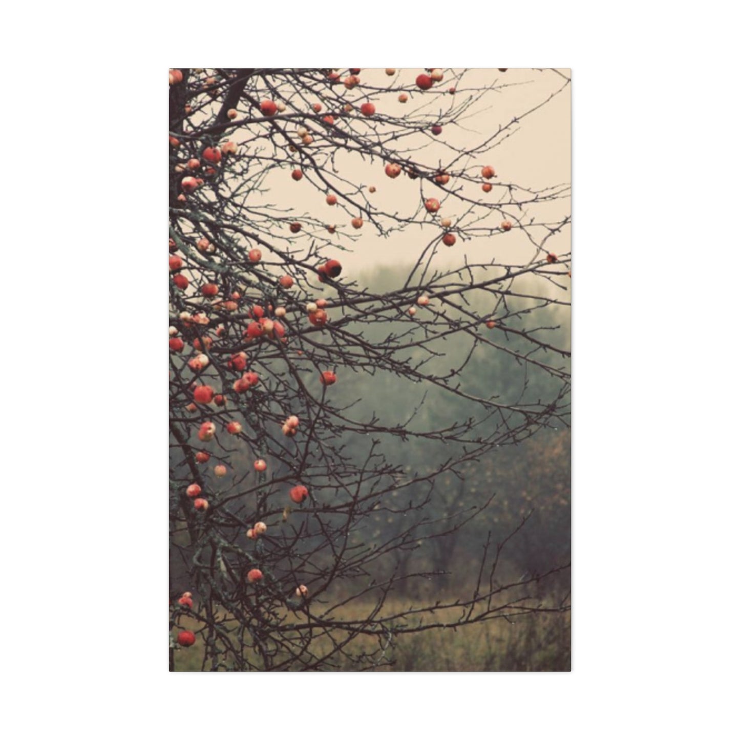 Fruit Tree Fine Wall Art & Canvas Prints