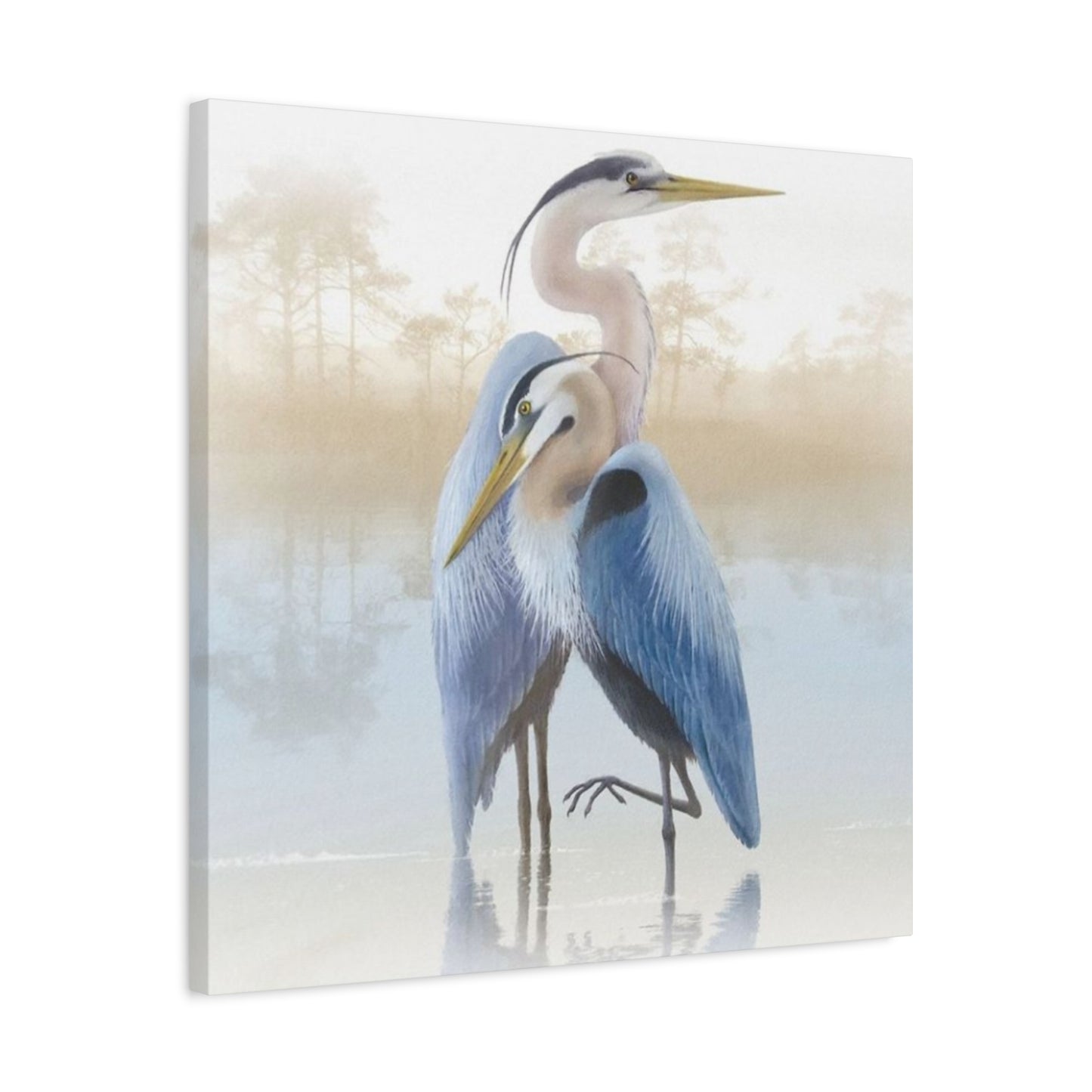 Beautiful Couple Herons Wall Art & Canvas Prints