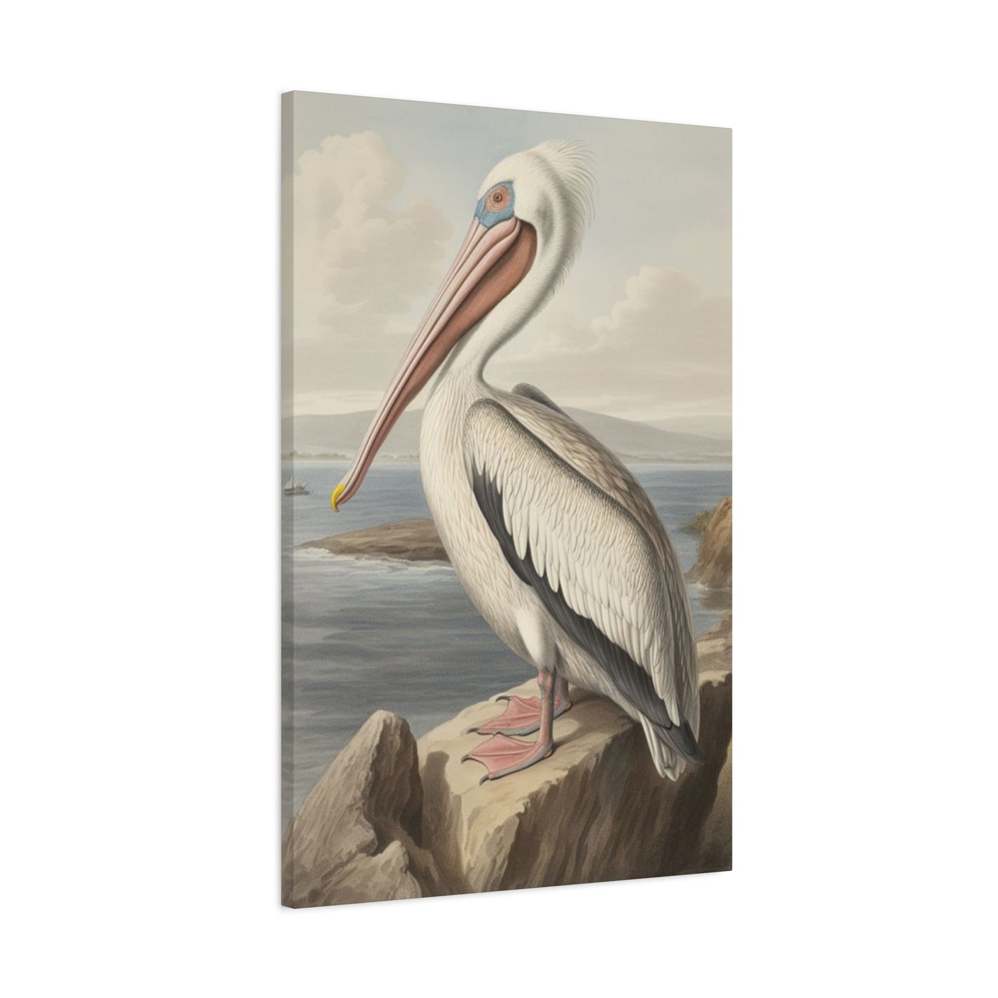 Long Beak Pelican Sitting On Cliff Wall Art & Canvas Prints