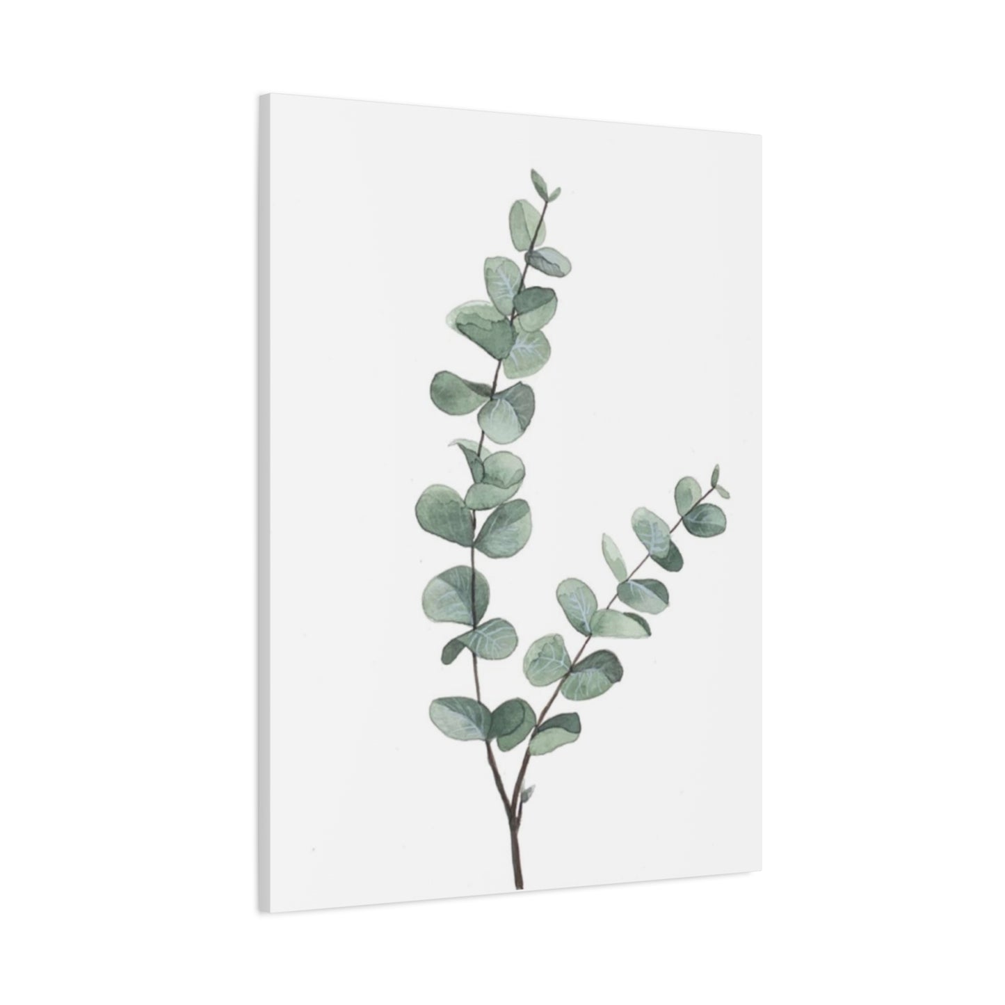 Eucalyptus Stem Wall Art & Canvas Prints