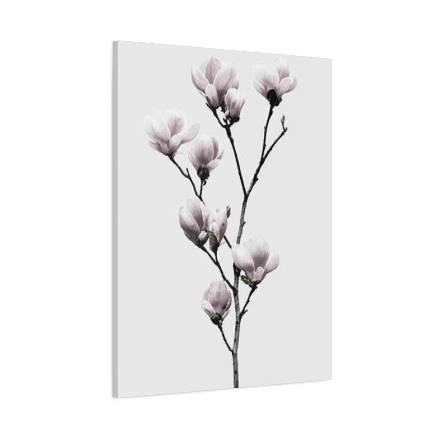 Beautiful Pink Magnolia Flower Wall Art & Canvas Prints