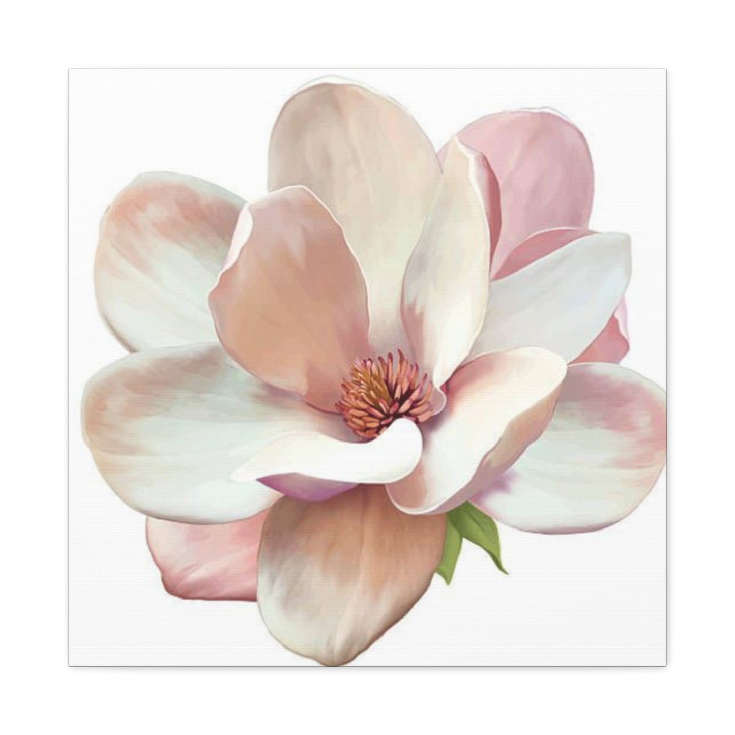 Pink Magnolia Flower Wall Art & Canvas Prints