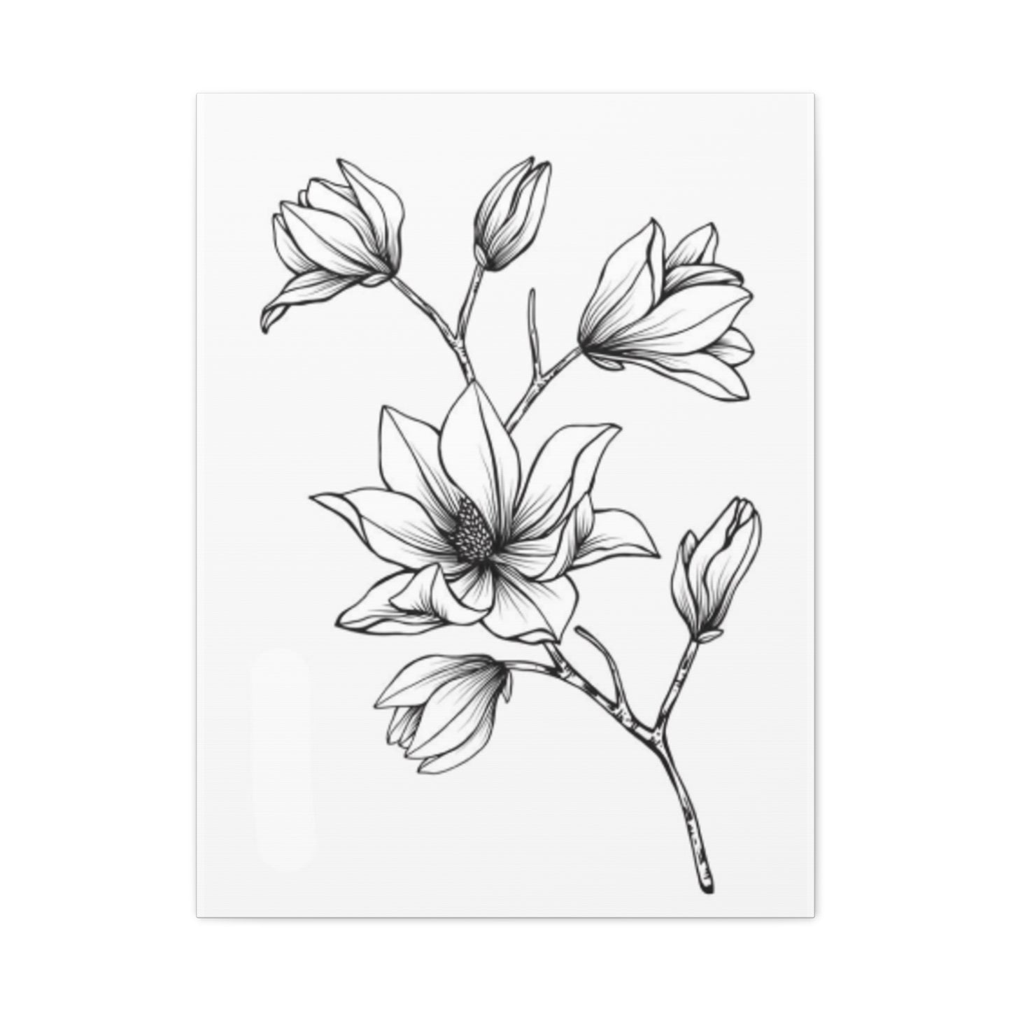 Magnolia Flower Sketch Wall Art & Canvas Prints