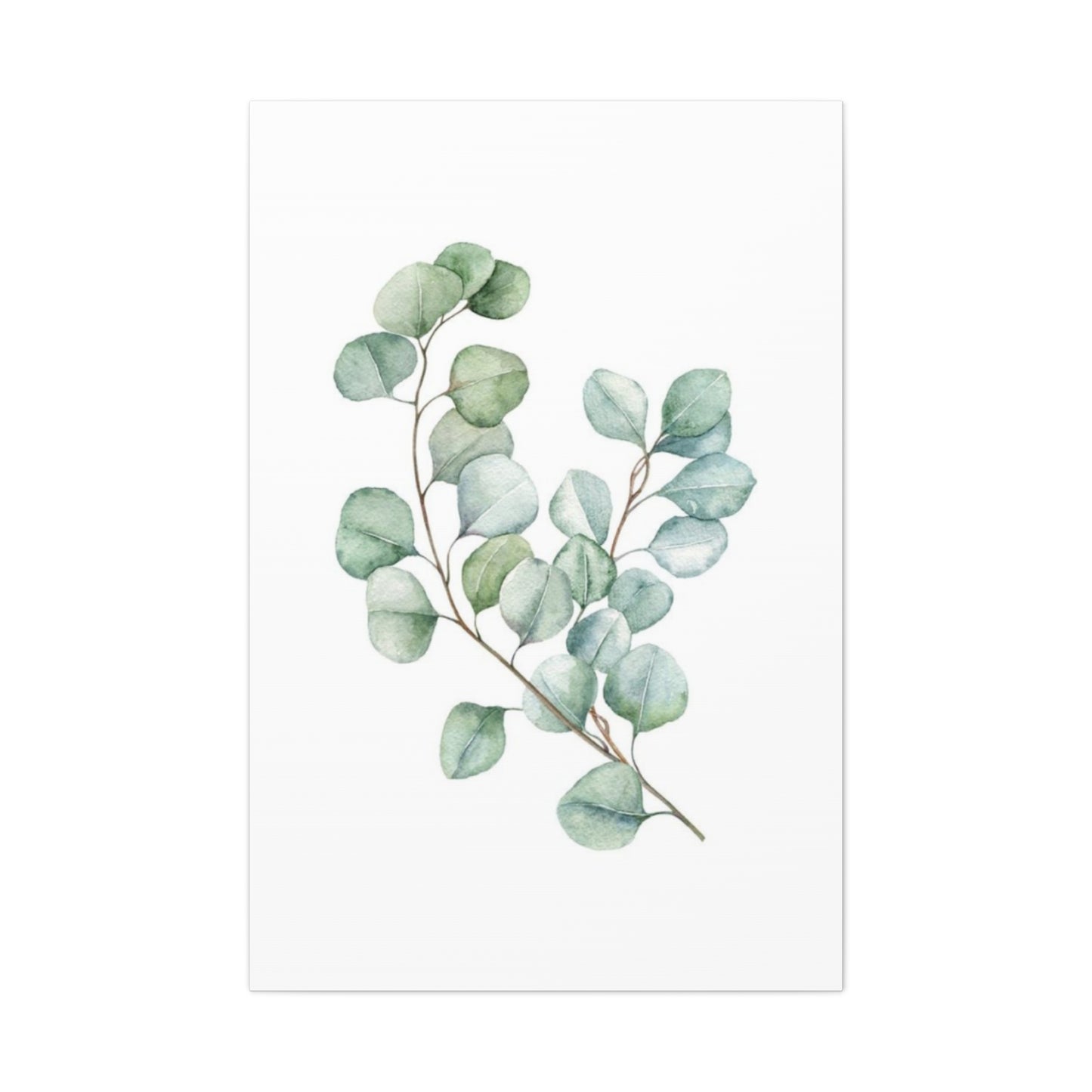 Eucalyptus Stem Wall Art & Canvas Prints