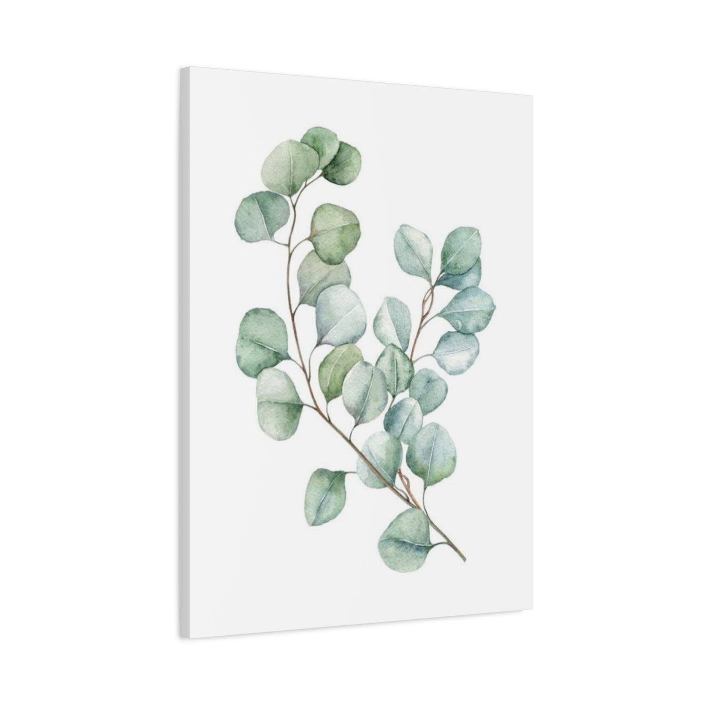 Eucalyptus Stem Wall Art & Canvas Prints