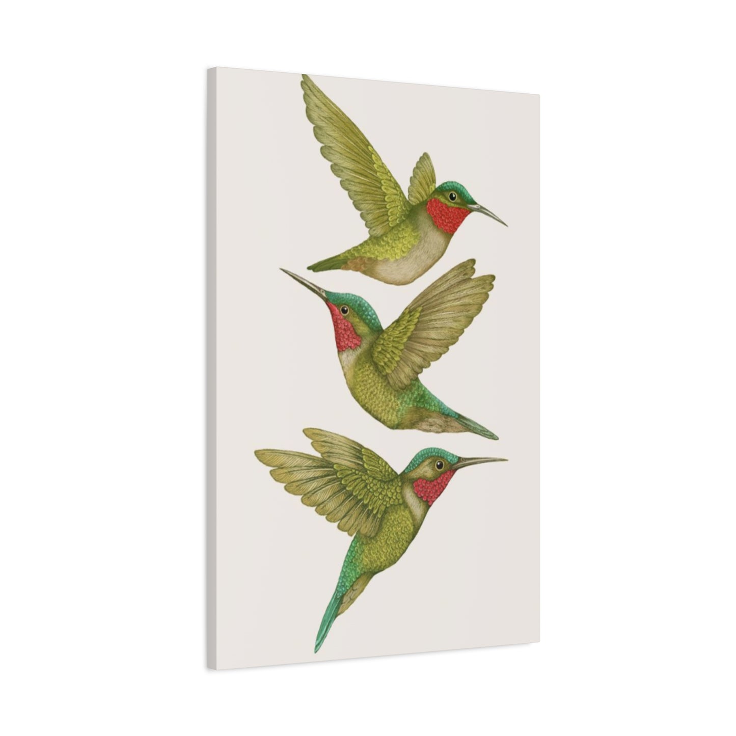 Three Green Humming Bird Painting Wall Art & Canvas Prints