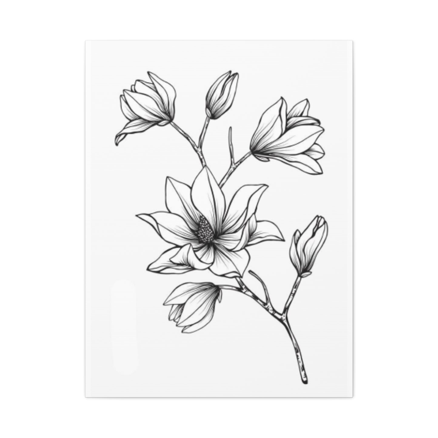 Magnolia Flower Sketch Wall Art & Canvas Prints