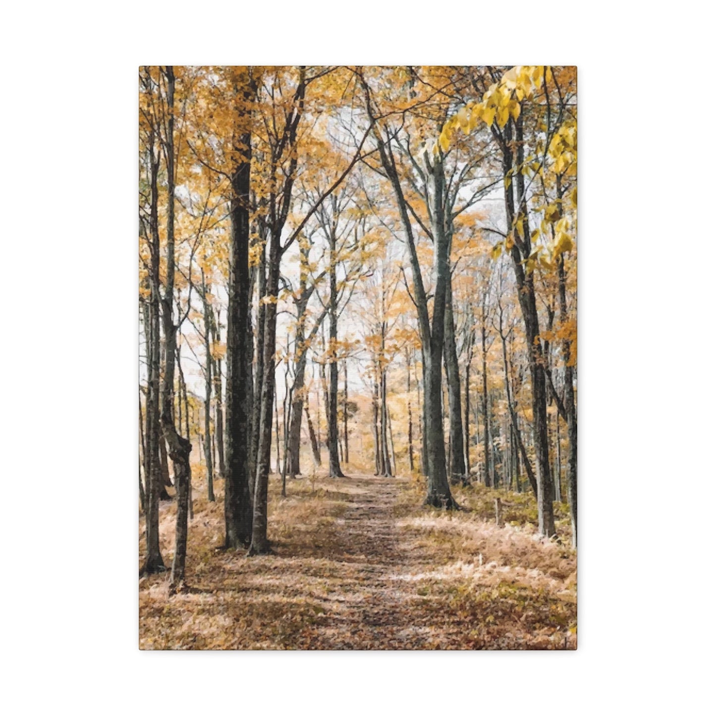 Fall Wall Art & Canvas Prints