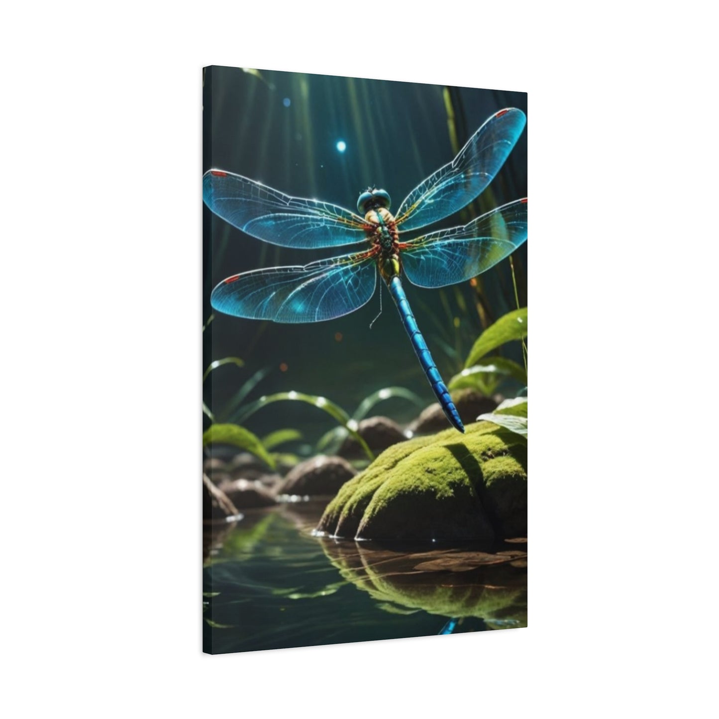 Colorful Dragonfly Wings Wall Art & Canvas Prints