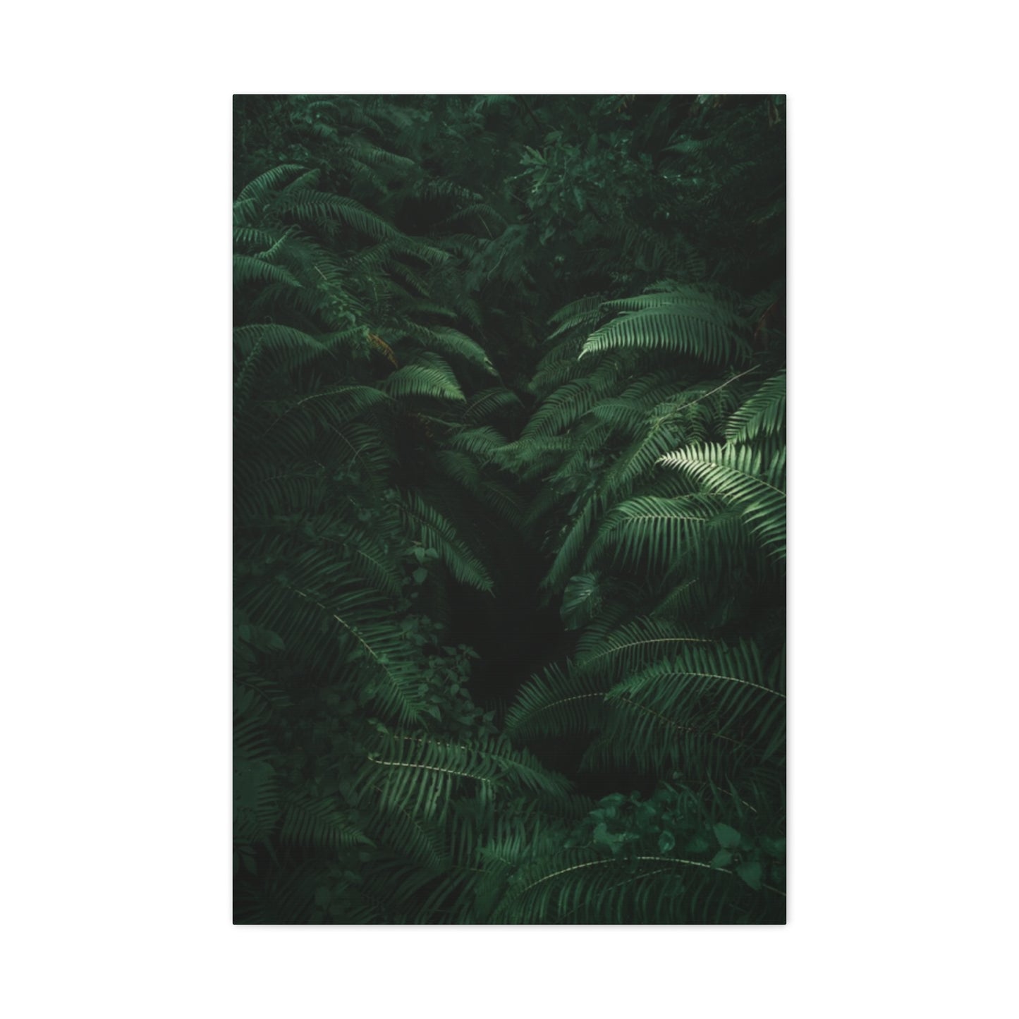 Tropical Forest Wall Art & Canvas Prints