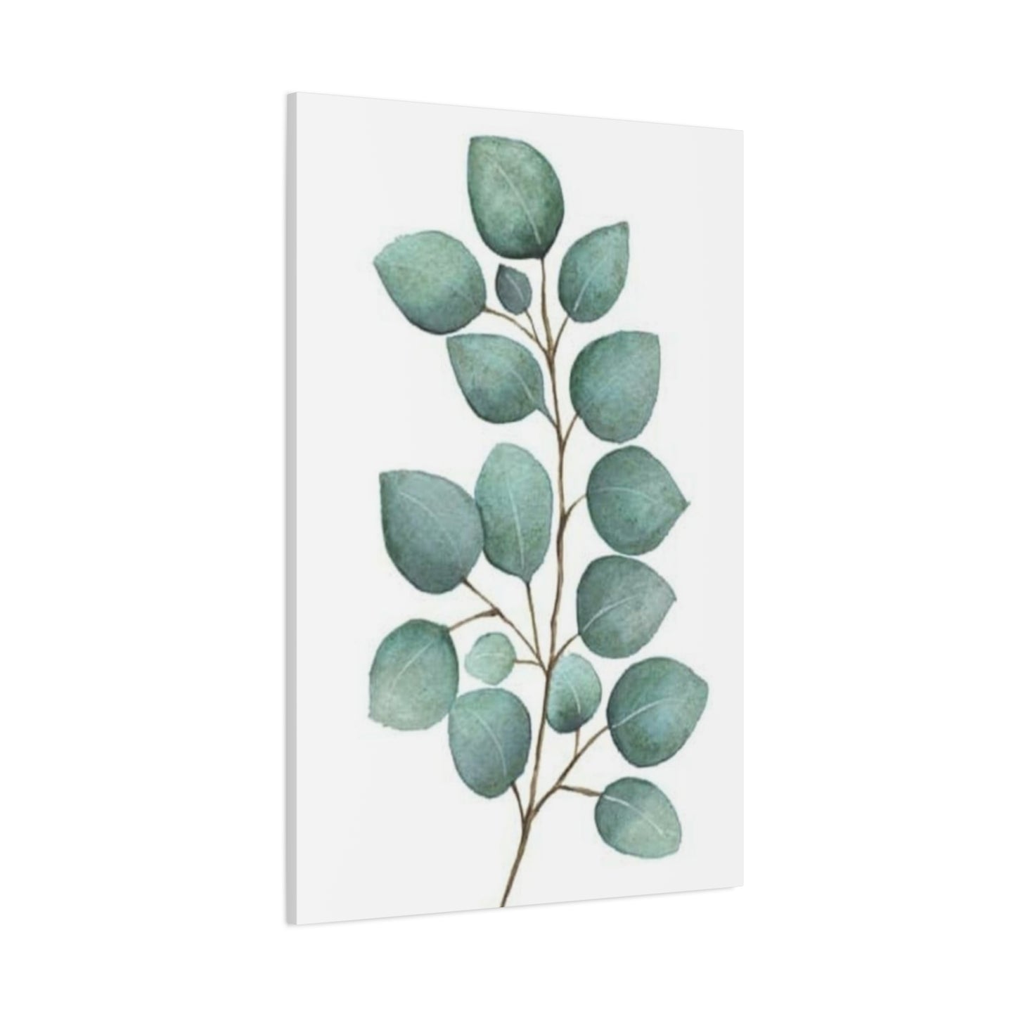 Eucalyptus Stem Wall Art & Canvas Prints