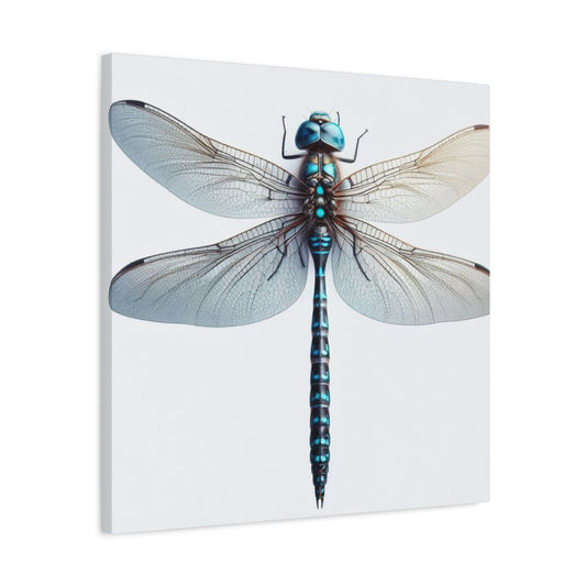 Blue Dragonfly Wall Art & Canvas Prints