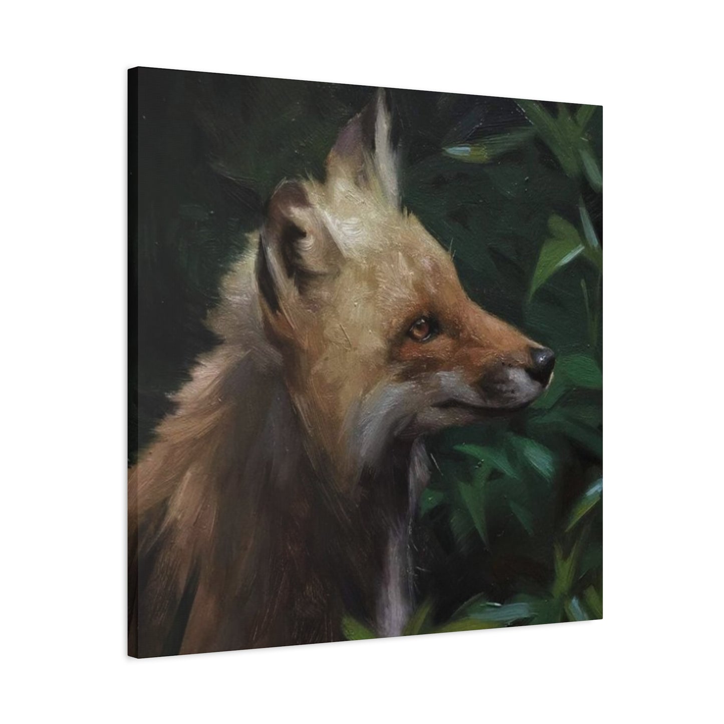 Little Baby Fox Wall Art & Canvas Prints