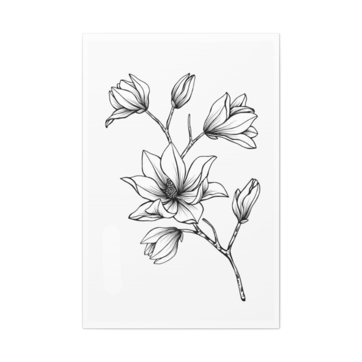 Magnolia Flower Sketch Wall Art & Canvas Prints