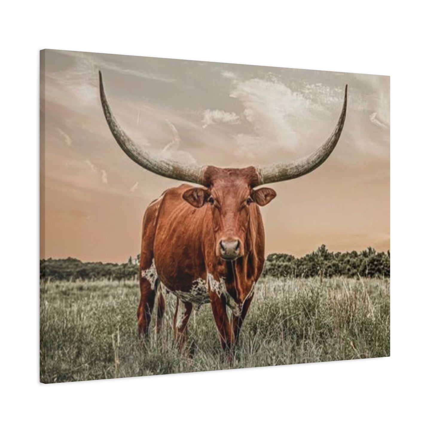 Hairy Buffalo U Shaped Long Horns Wall Art & Canvas Prints